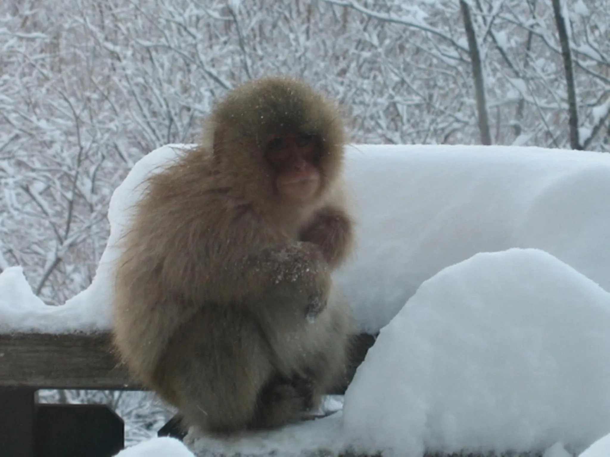 Other in Hotel Takimoto