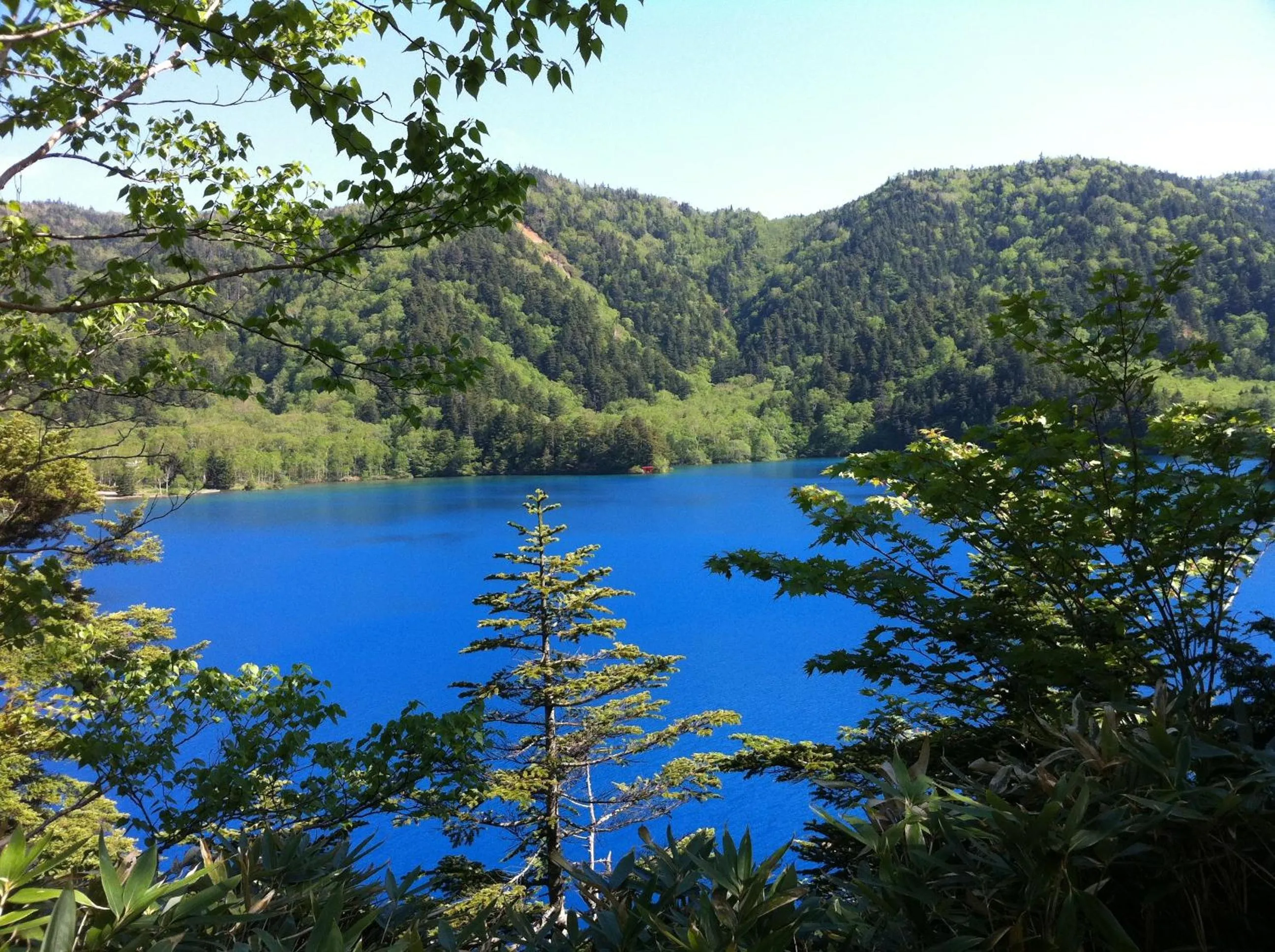 View (from property/room) in Hotel Takimoto