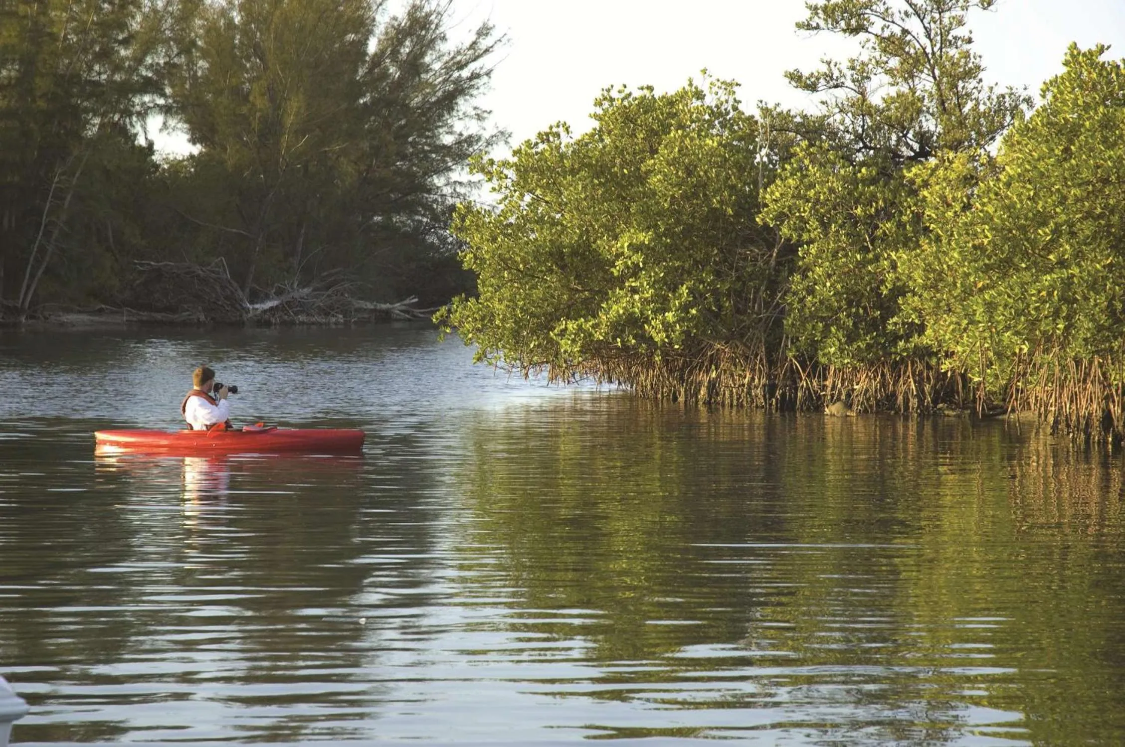 Bedroom in Hampton Inn Cocoa Beach