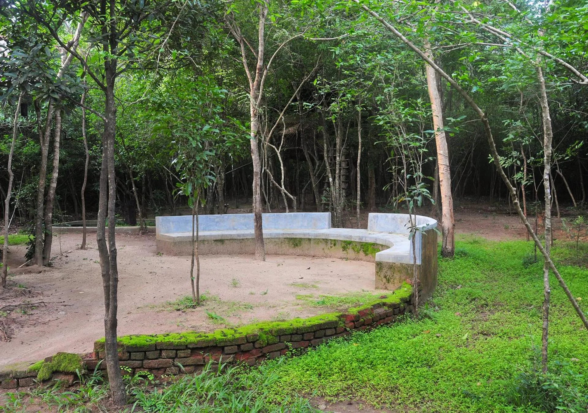 Garden in Back of Beyond - Pidurangala