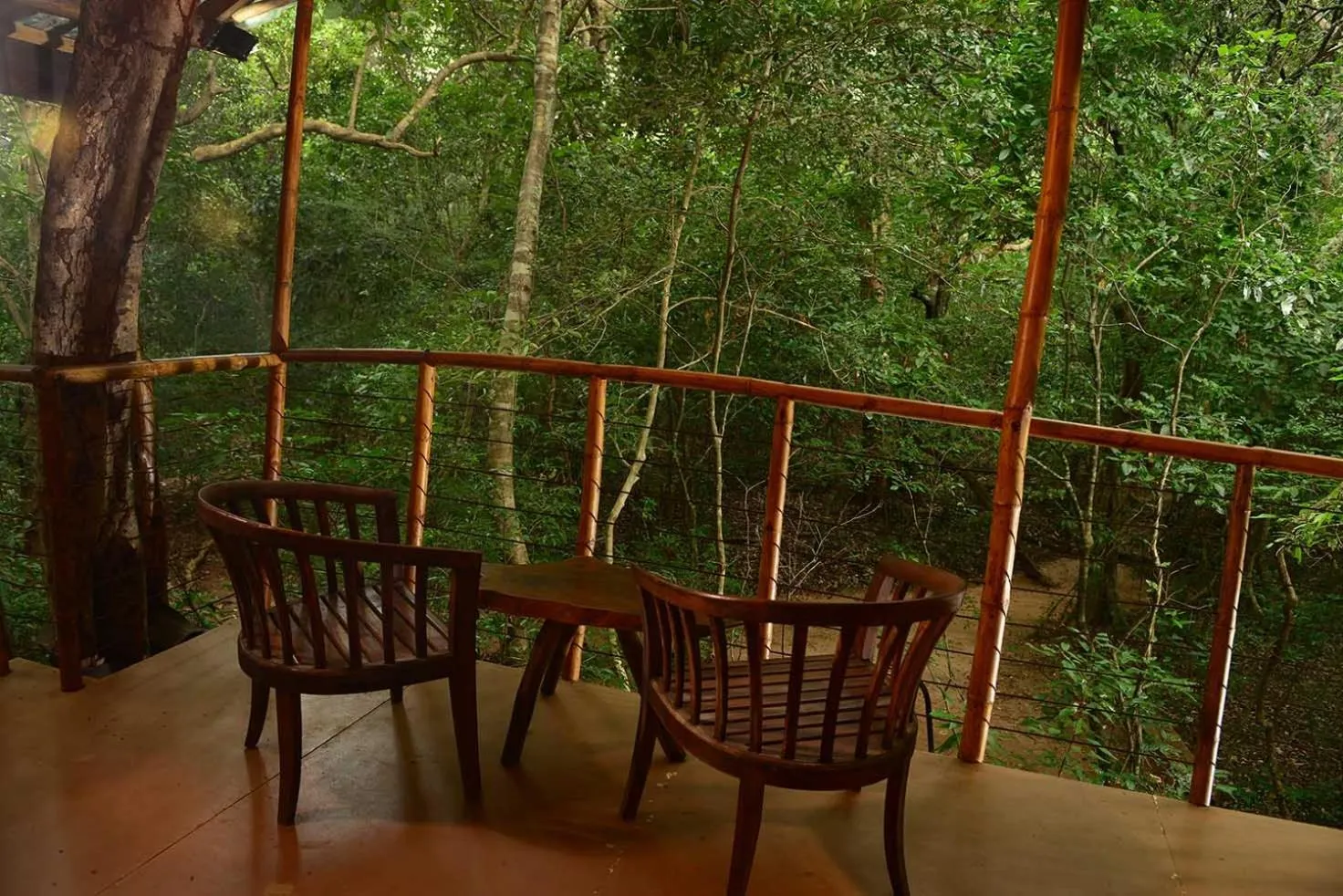 Back of Beyond - Pidurangala