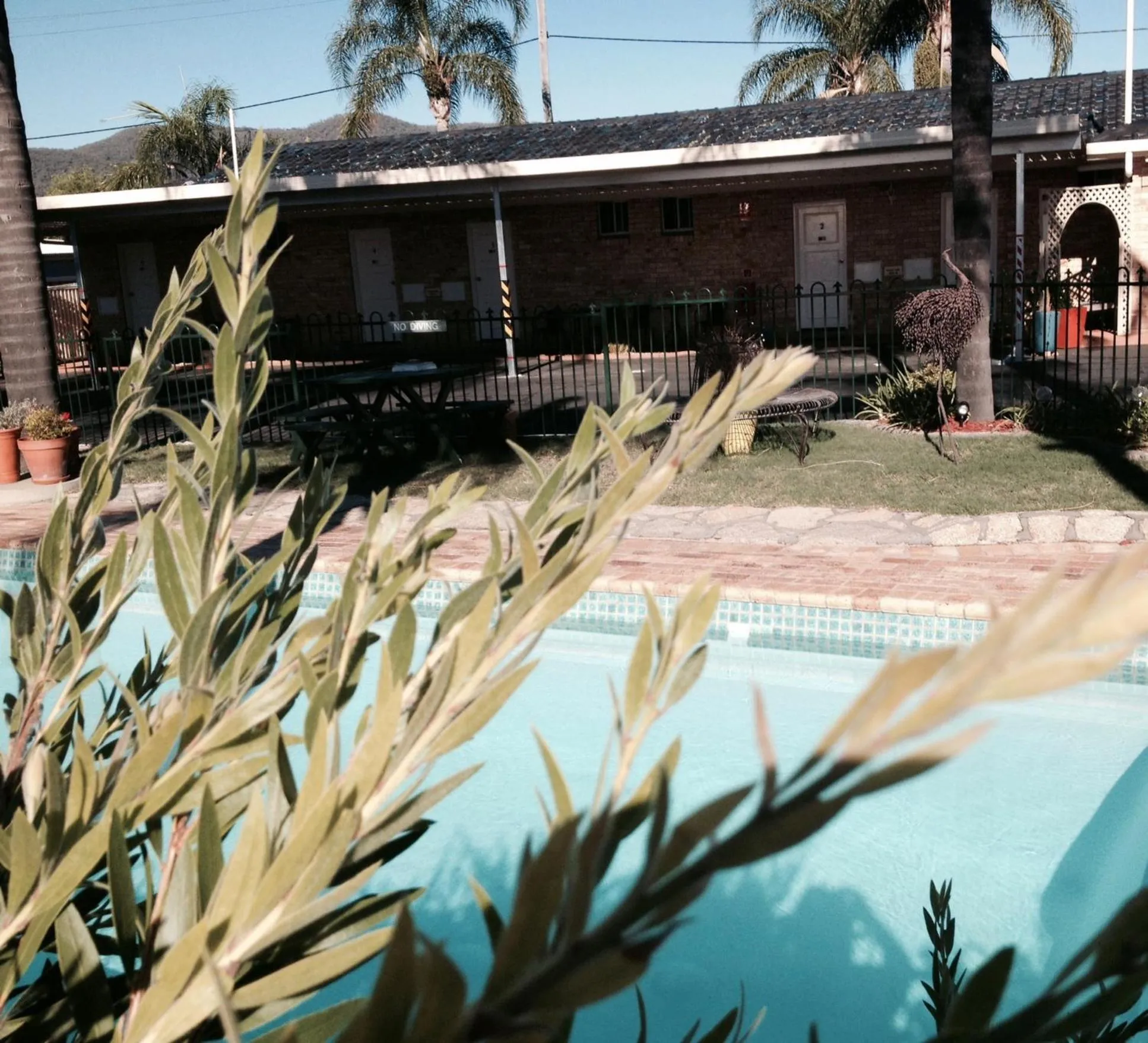 Swimming pool in Town and Country Motor Inn