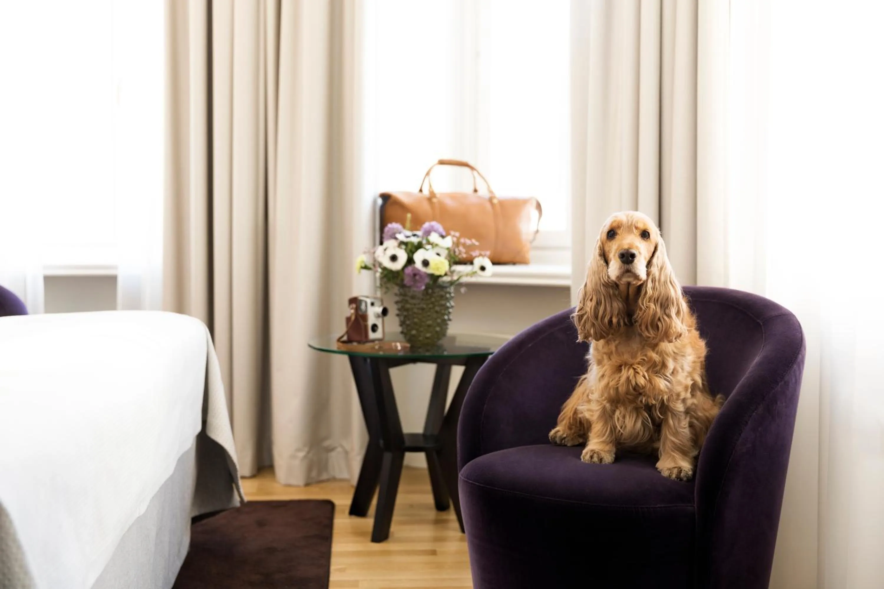 Animals in Elite Stadshotellet Eskilstuna, Hotel & Spa