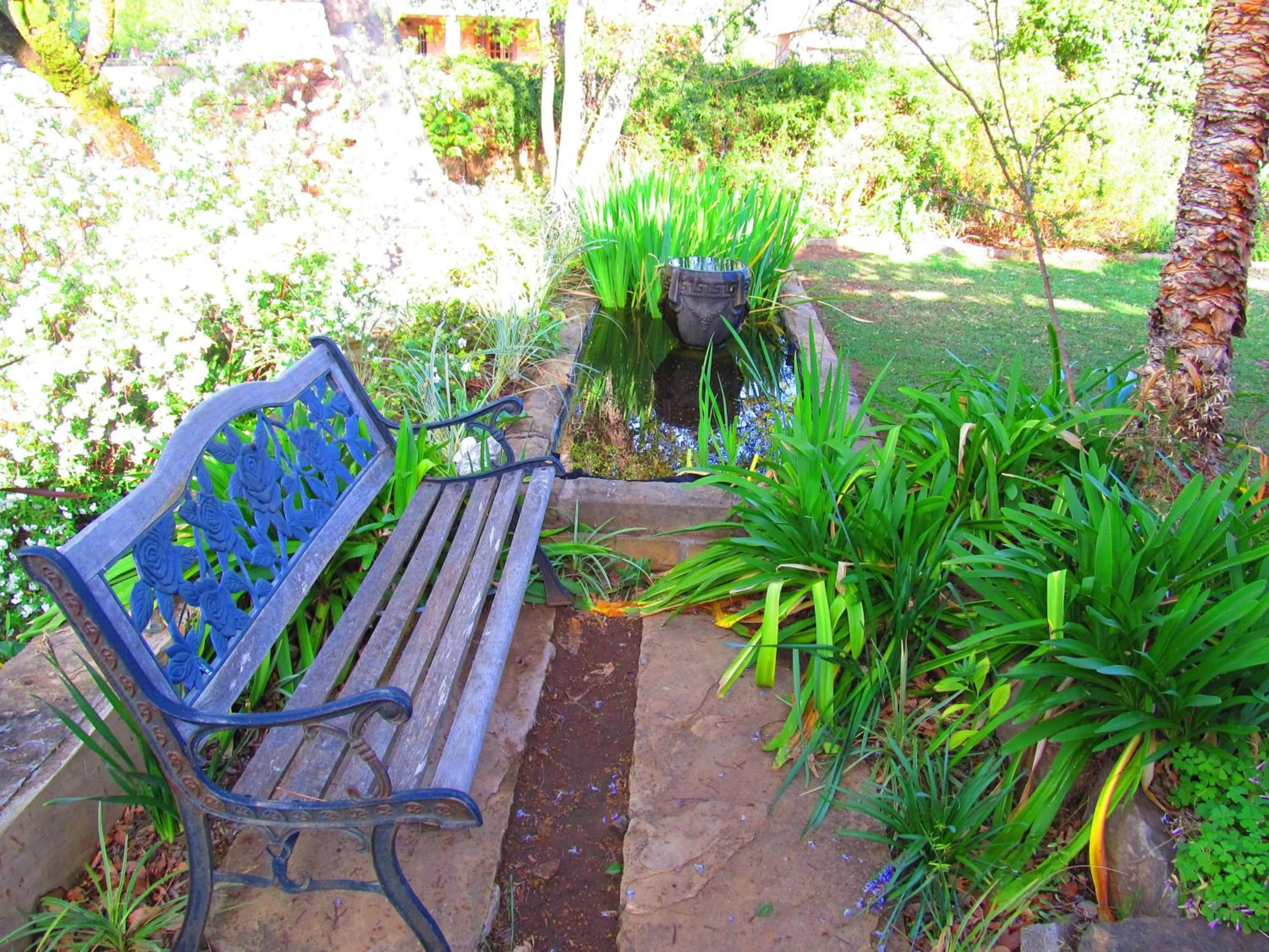 Garden view in Top House Bed and Breakfast
