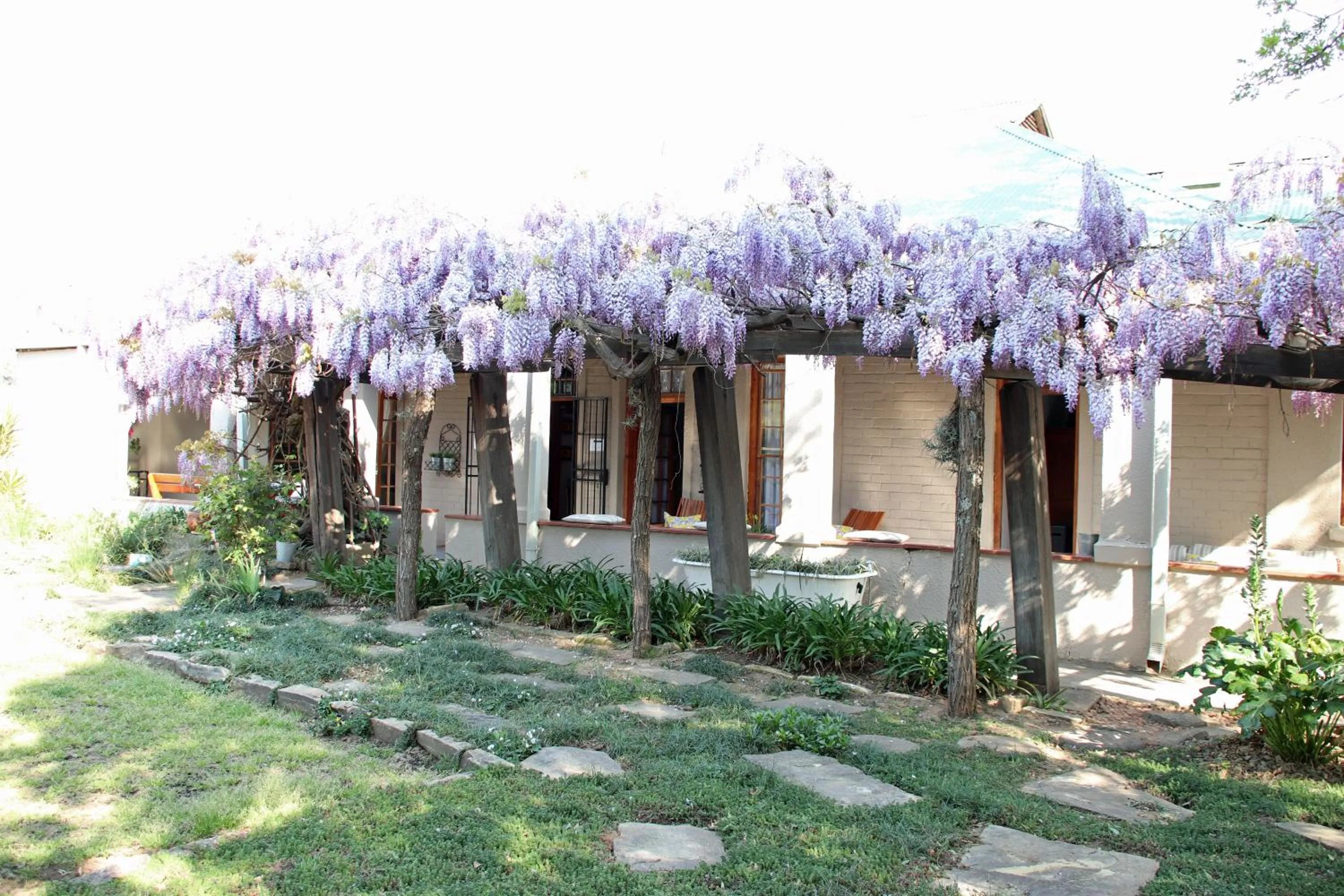 Top House Bed and Breakfast