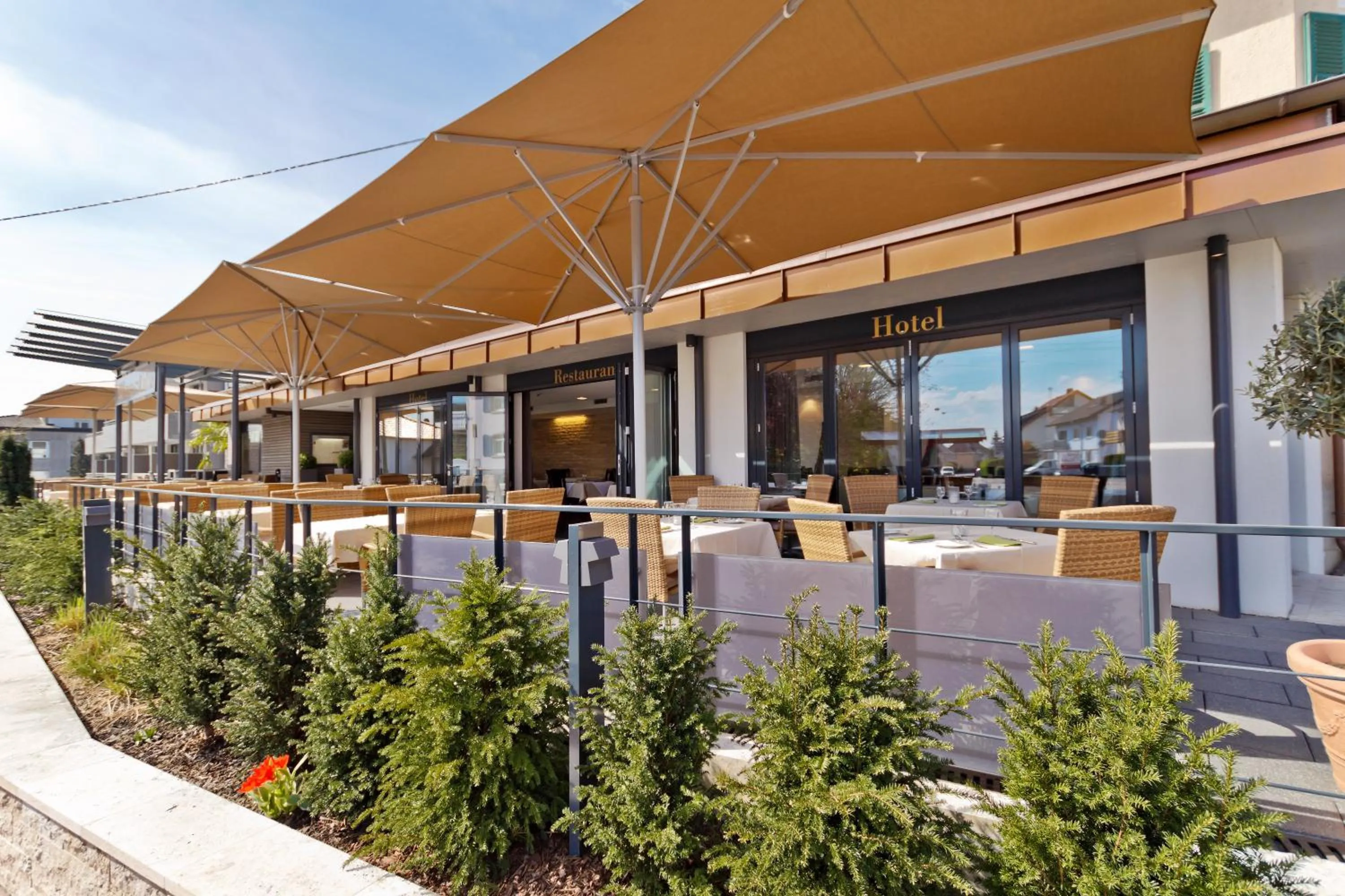 Balcony/Terrace in Hotel Winzerstube