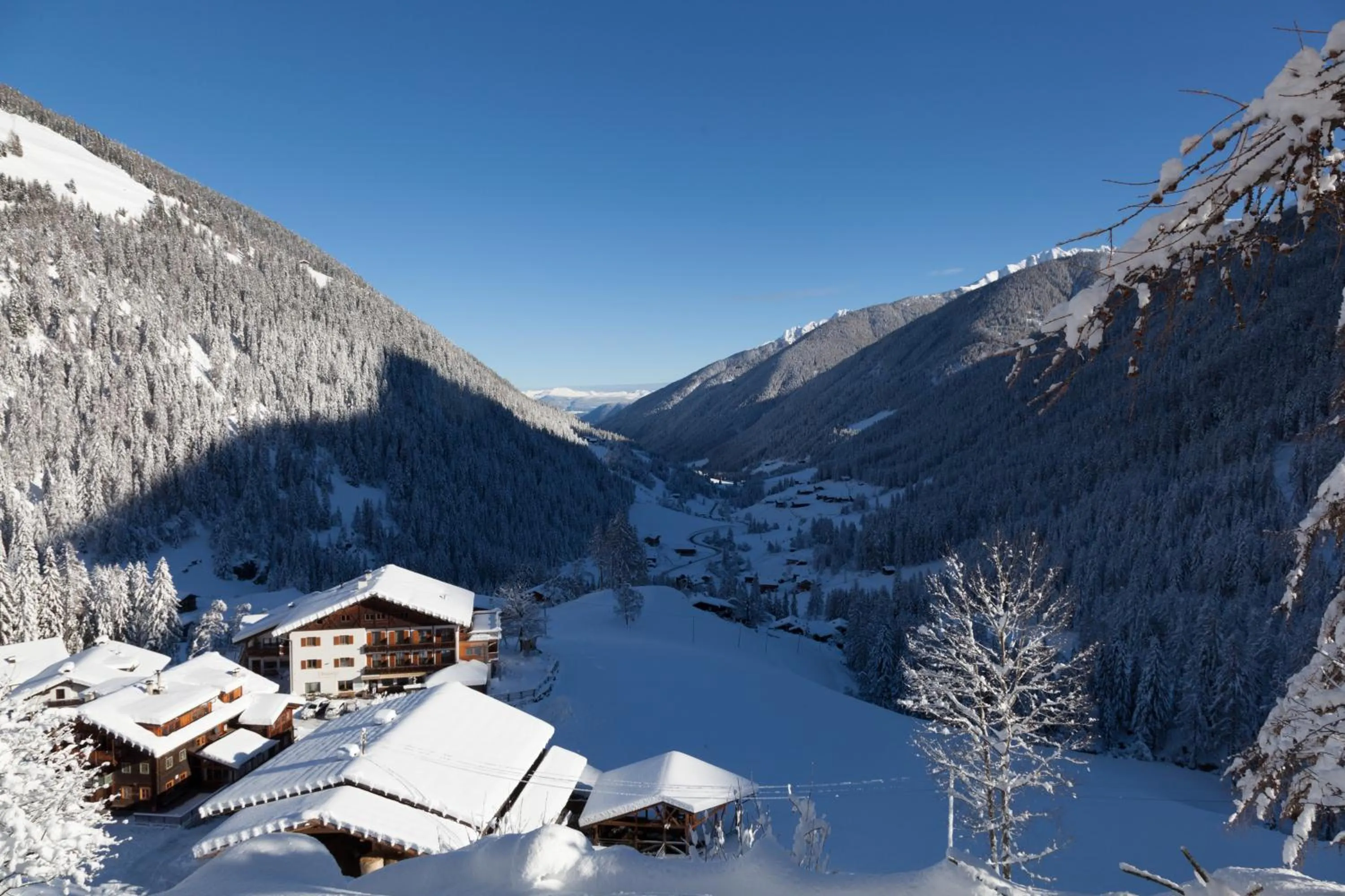 Natural landscape in Hotel Ultnerhof