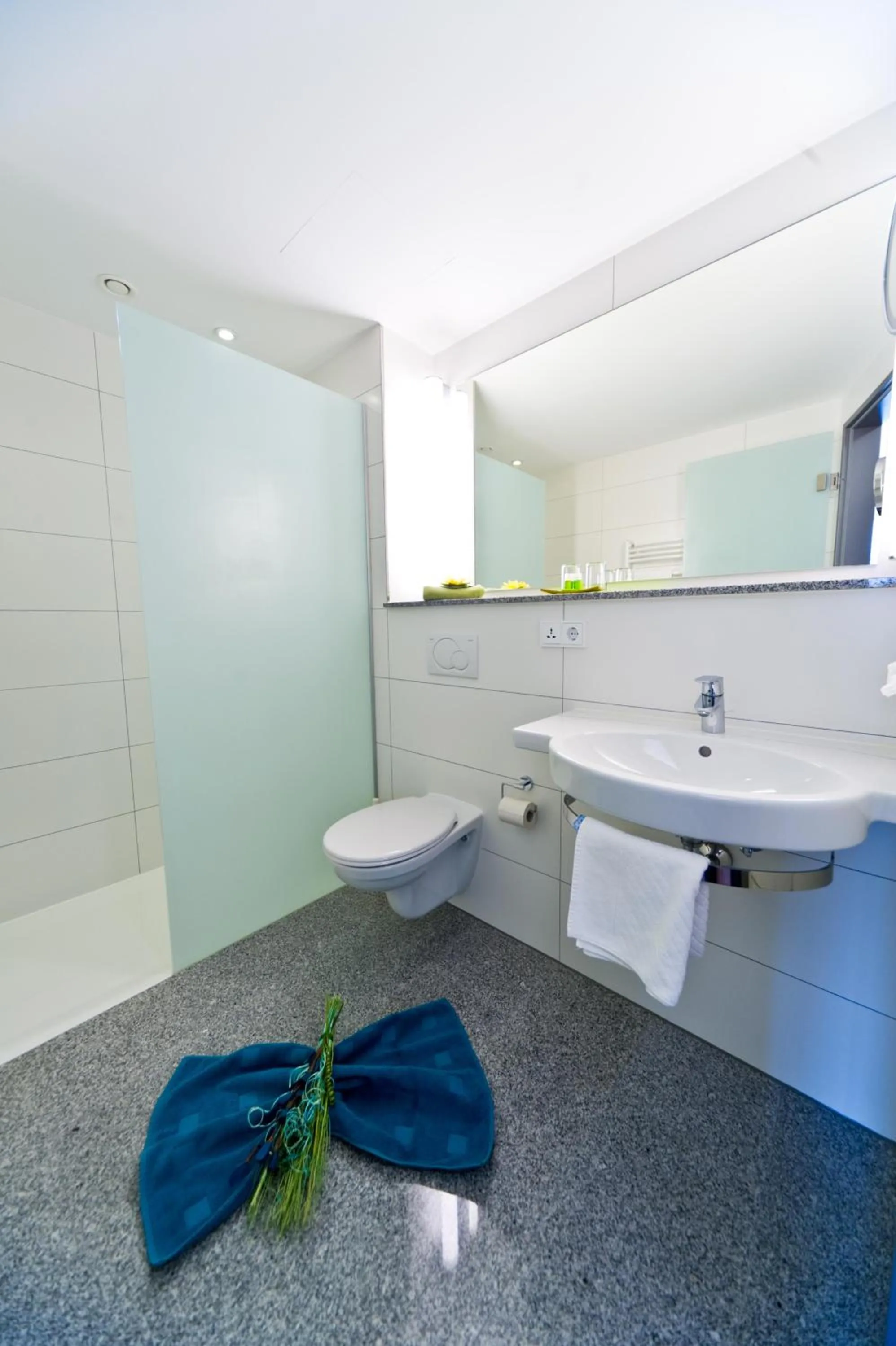 Bathroom in Wohlfühl-Hotel Neu Heidelberg