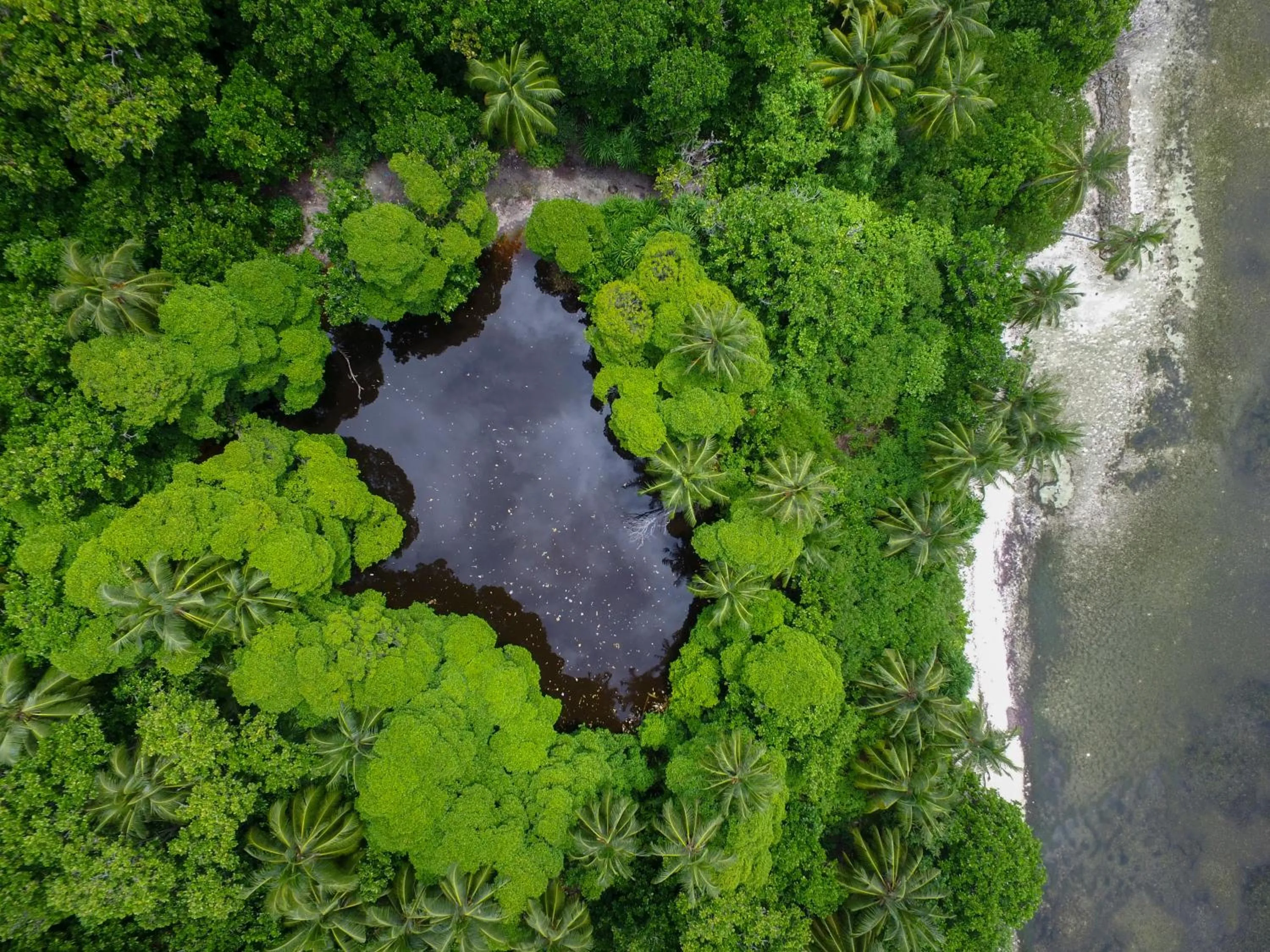 Day in Reveries Maldives