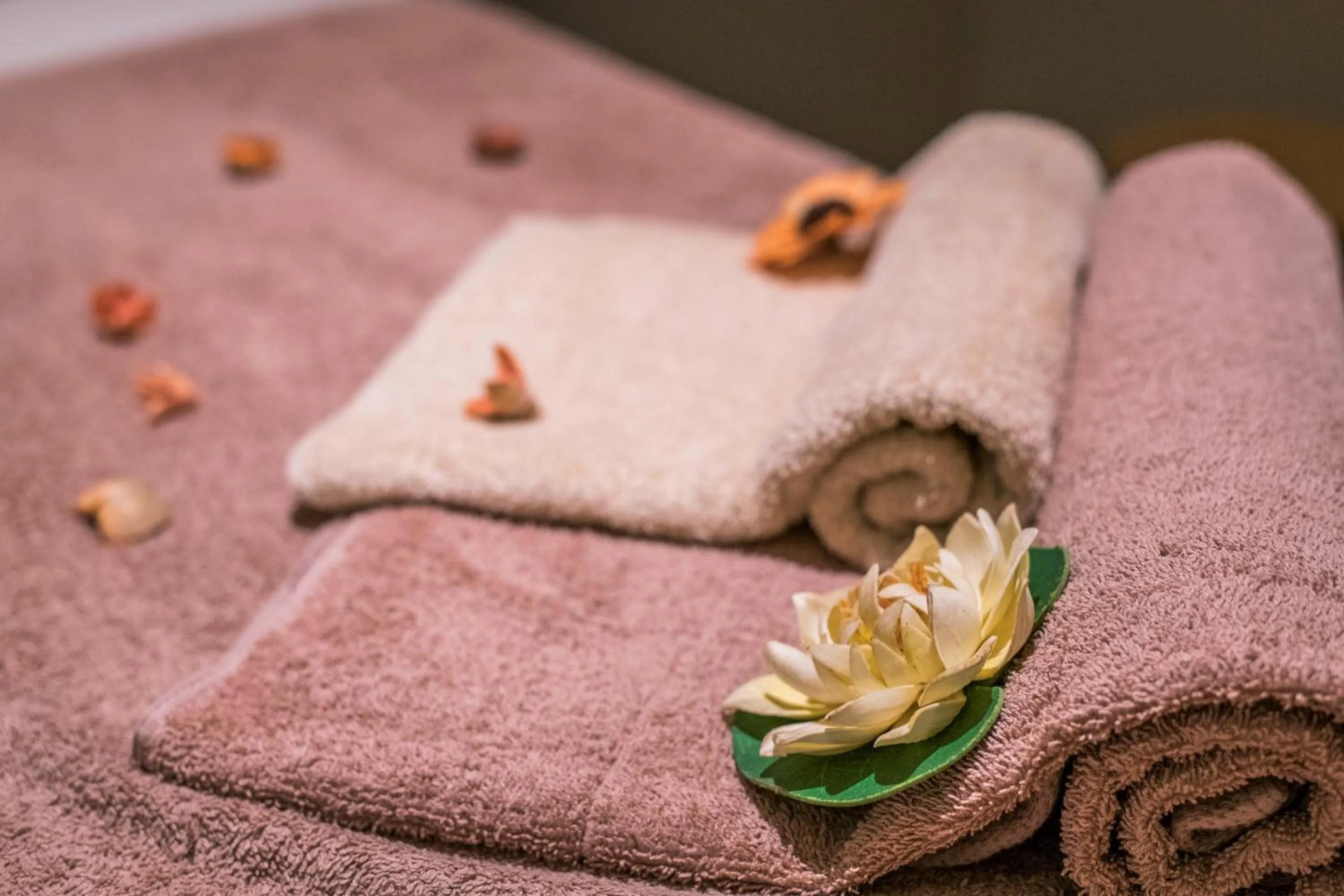 Spa and wellness centre/facilities in Horizon Beach