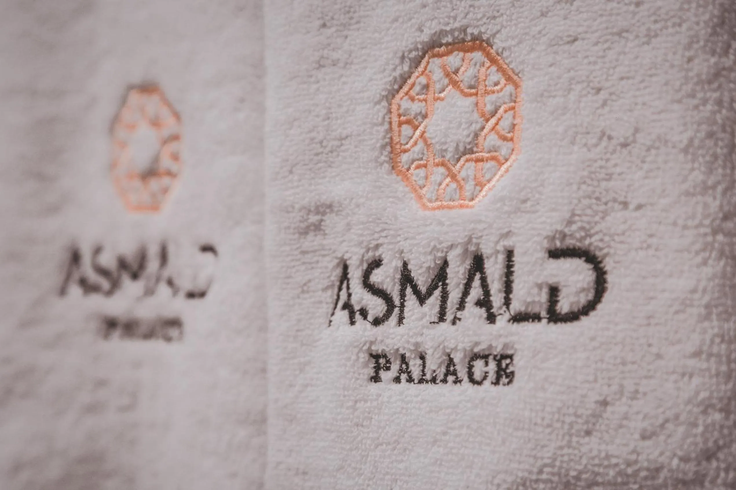Property logo or sign in Asmald Palace Hotel