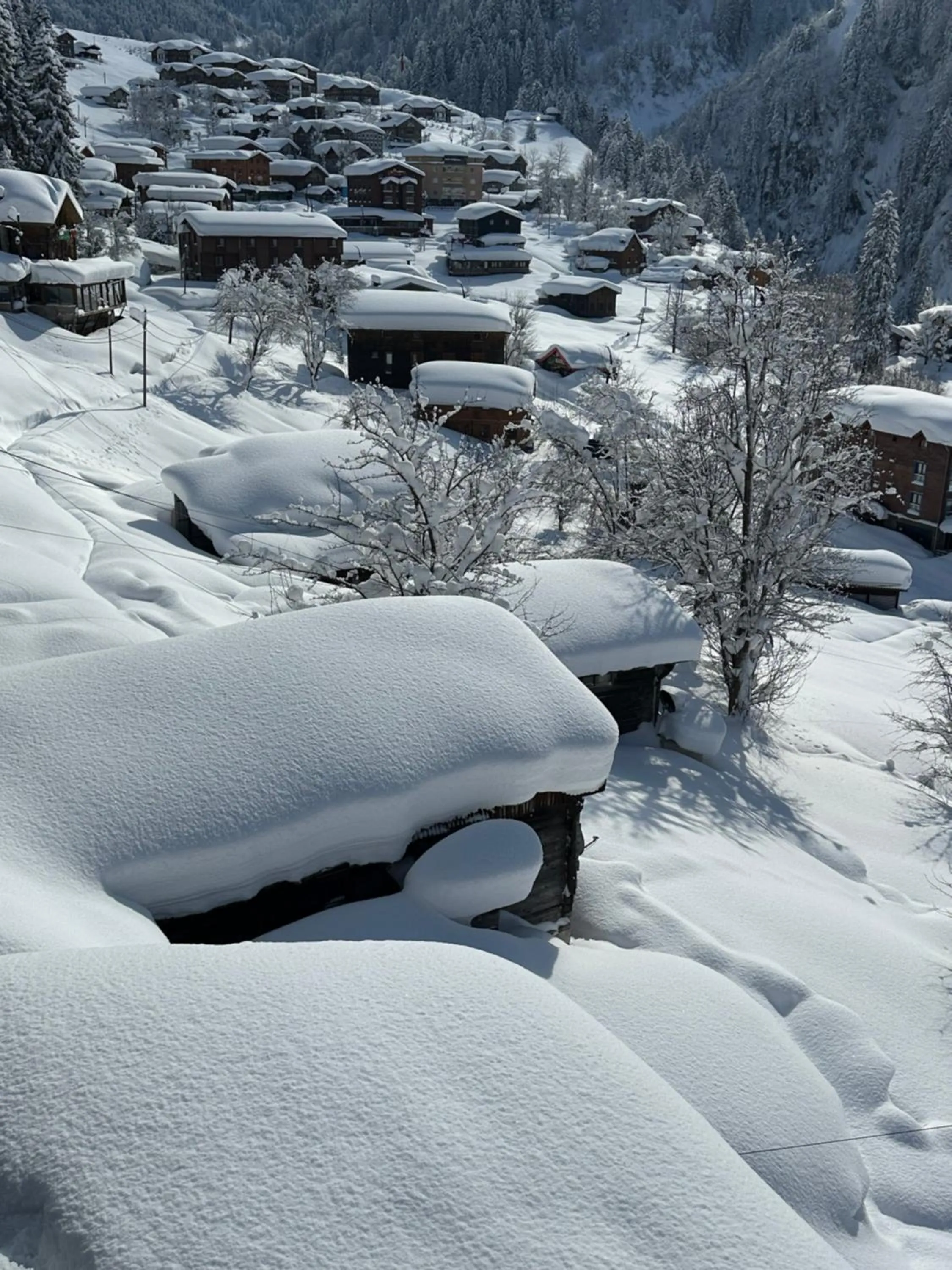 Ayder Villa de Pelit Hotel