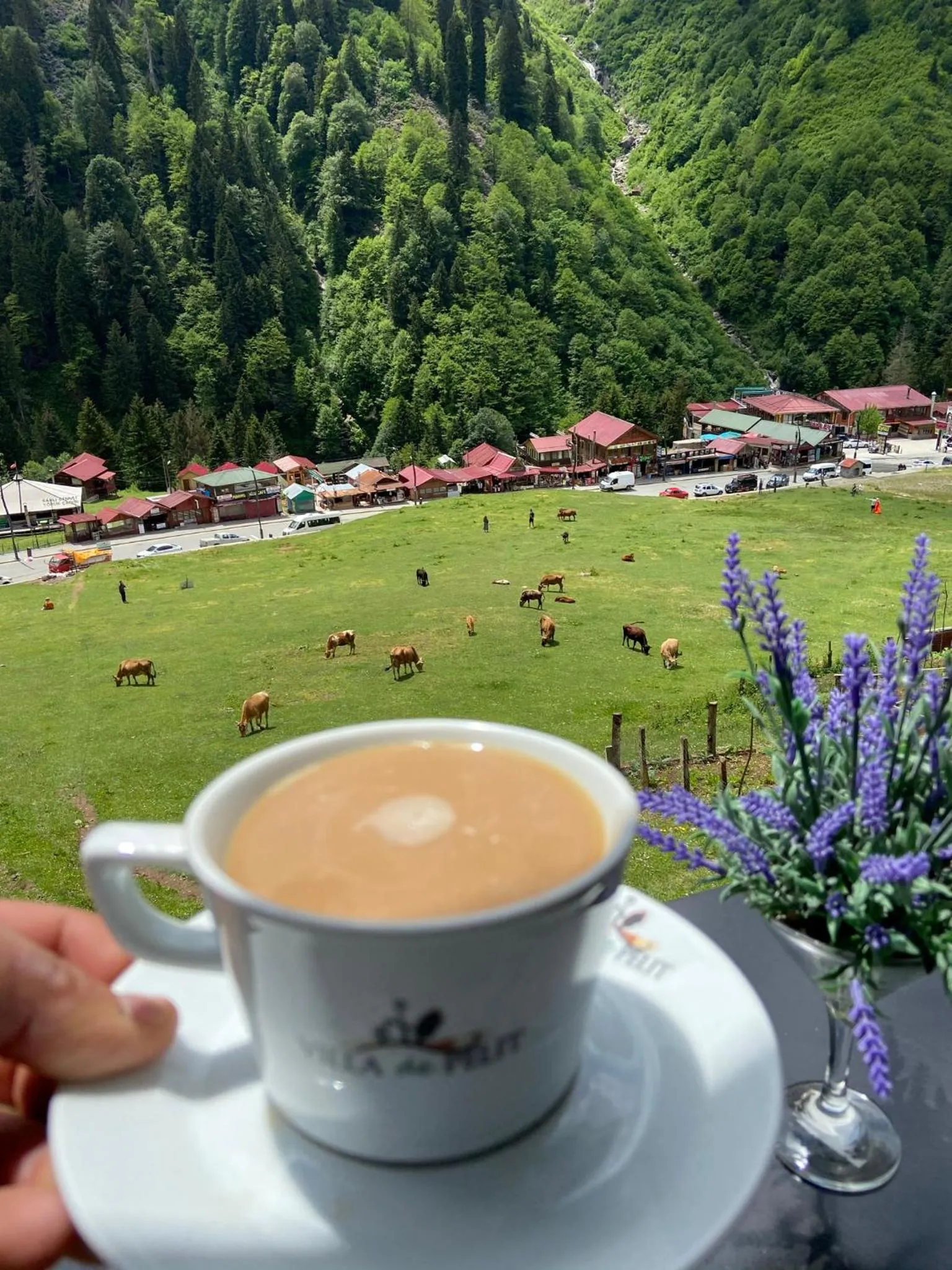 Ayder Villa de Pelit Hotel