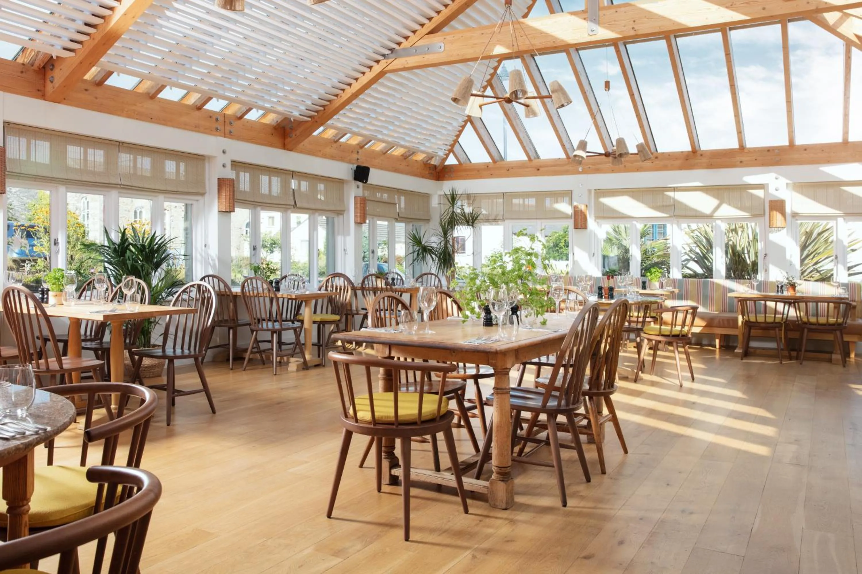 Restaurant/places to eat in The Plume of Feathers