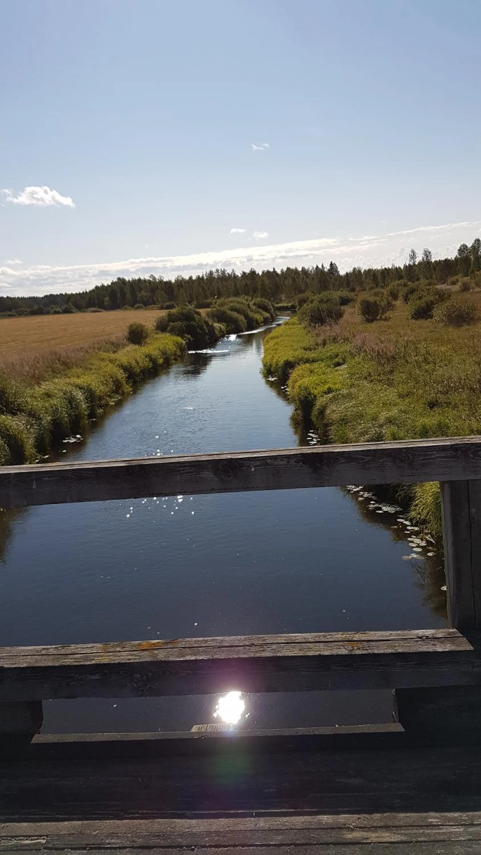 Natural landscape in Motelli Nuttulinna