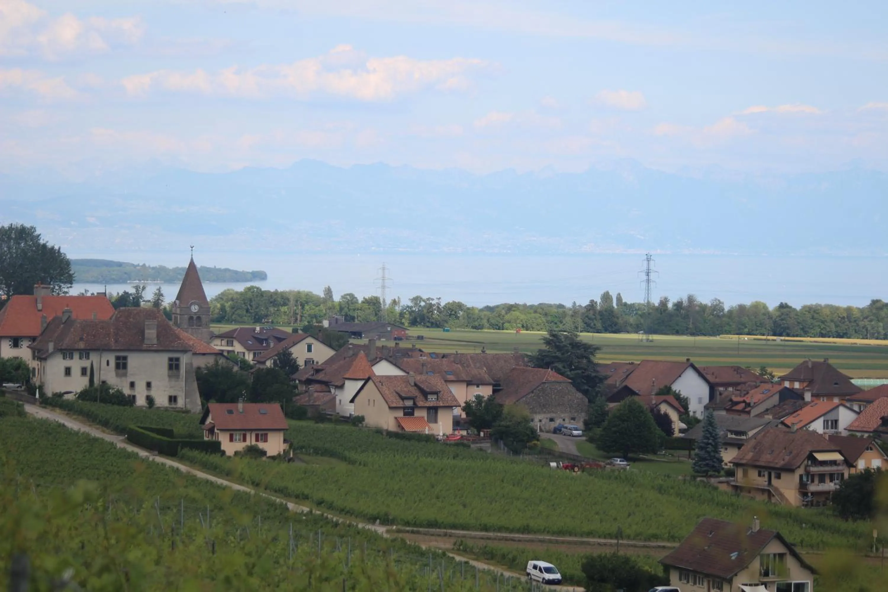 Cycling in Au cœur du vignoble sur Bursins
