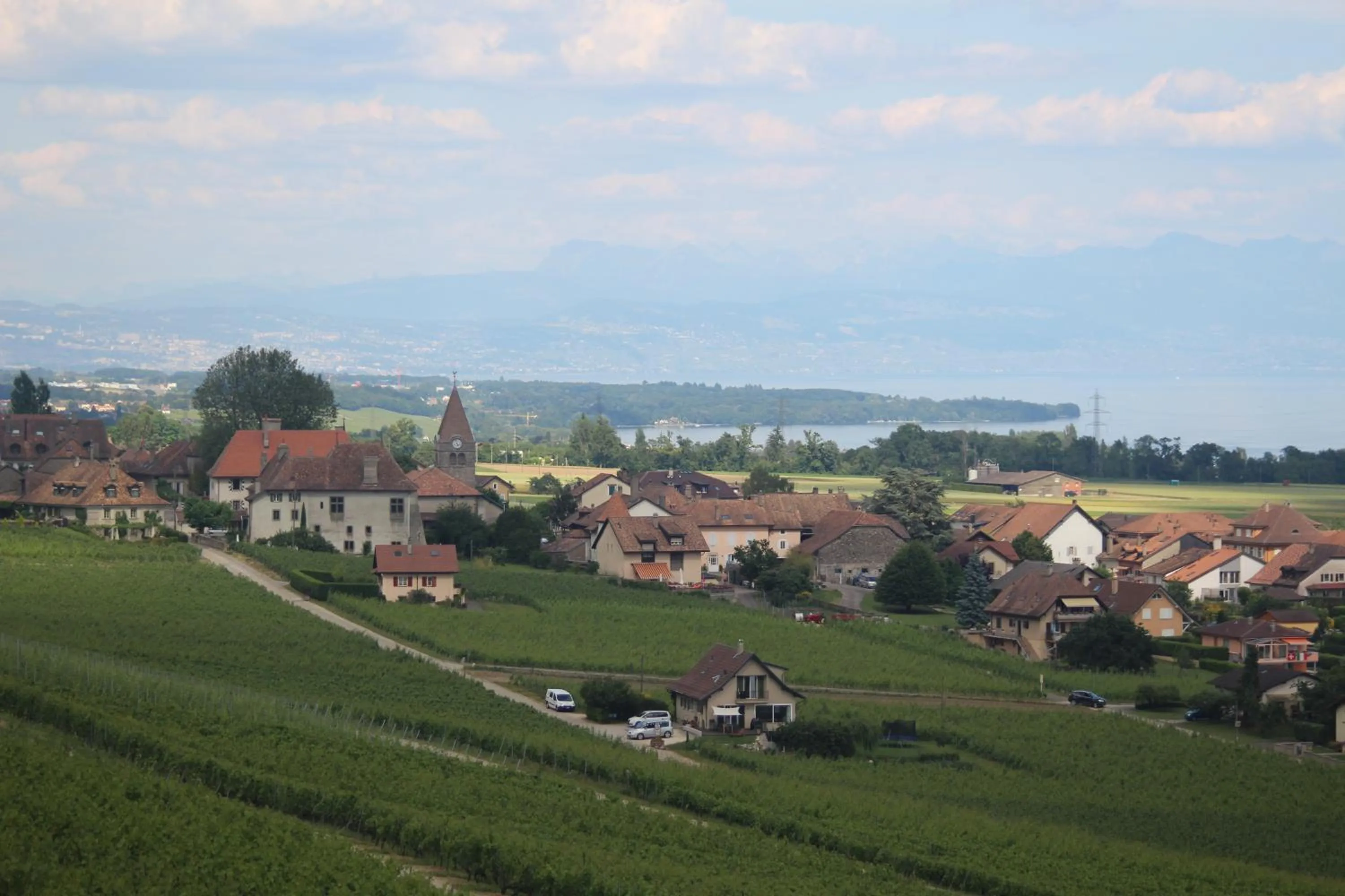 Cycling in Au cœur du vignoble sur Bursins