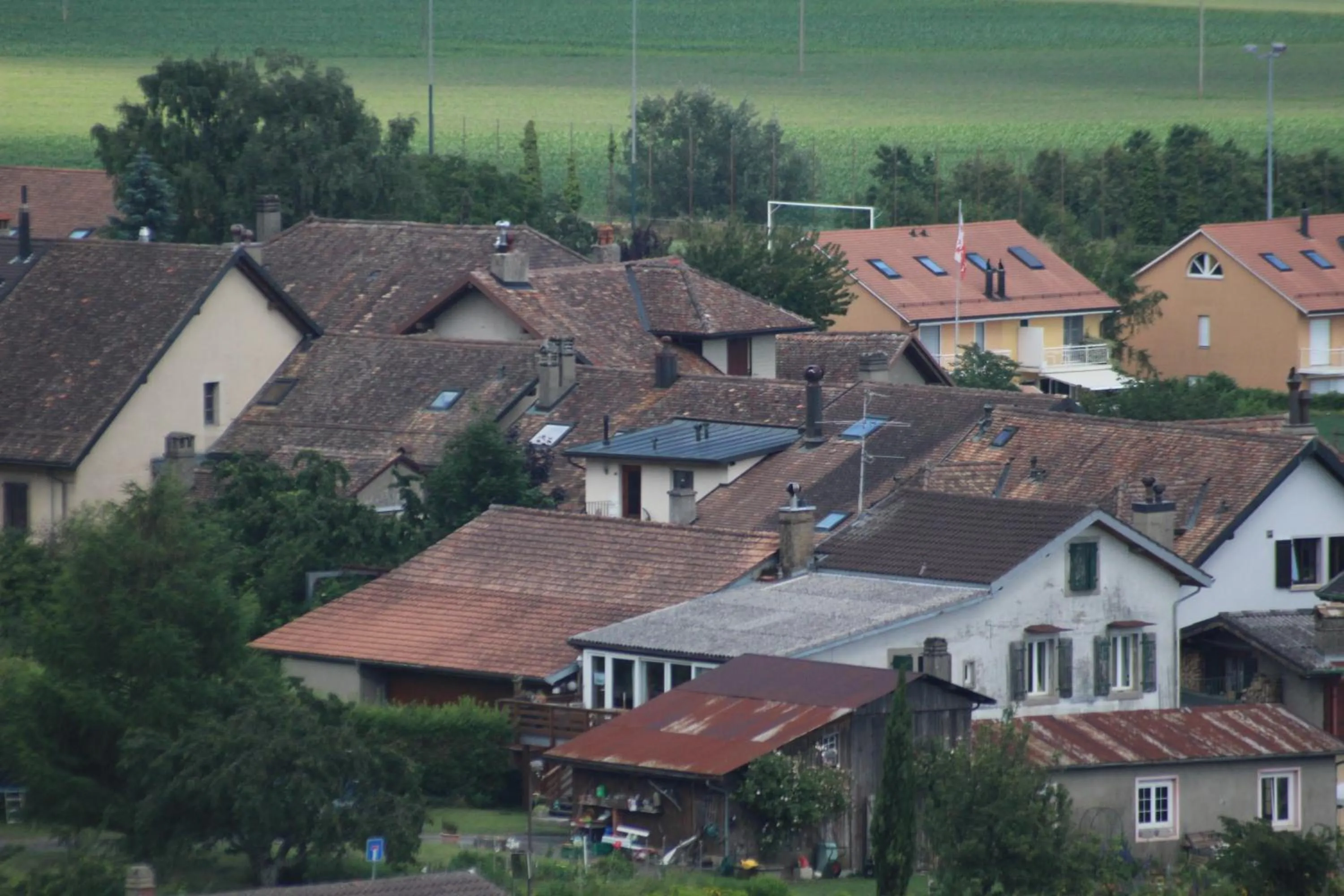 Cycling in Au cœur du vignoble sur Bursins