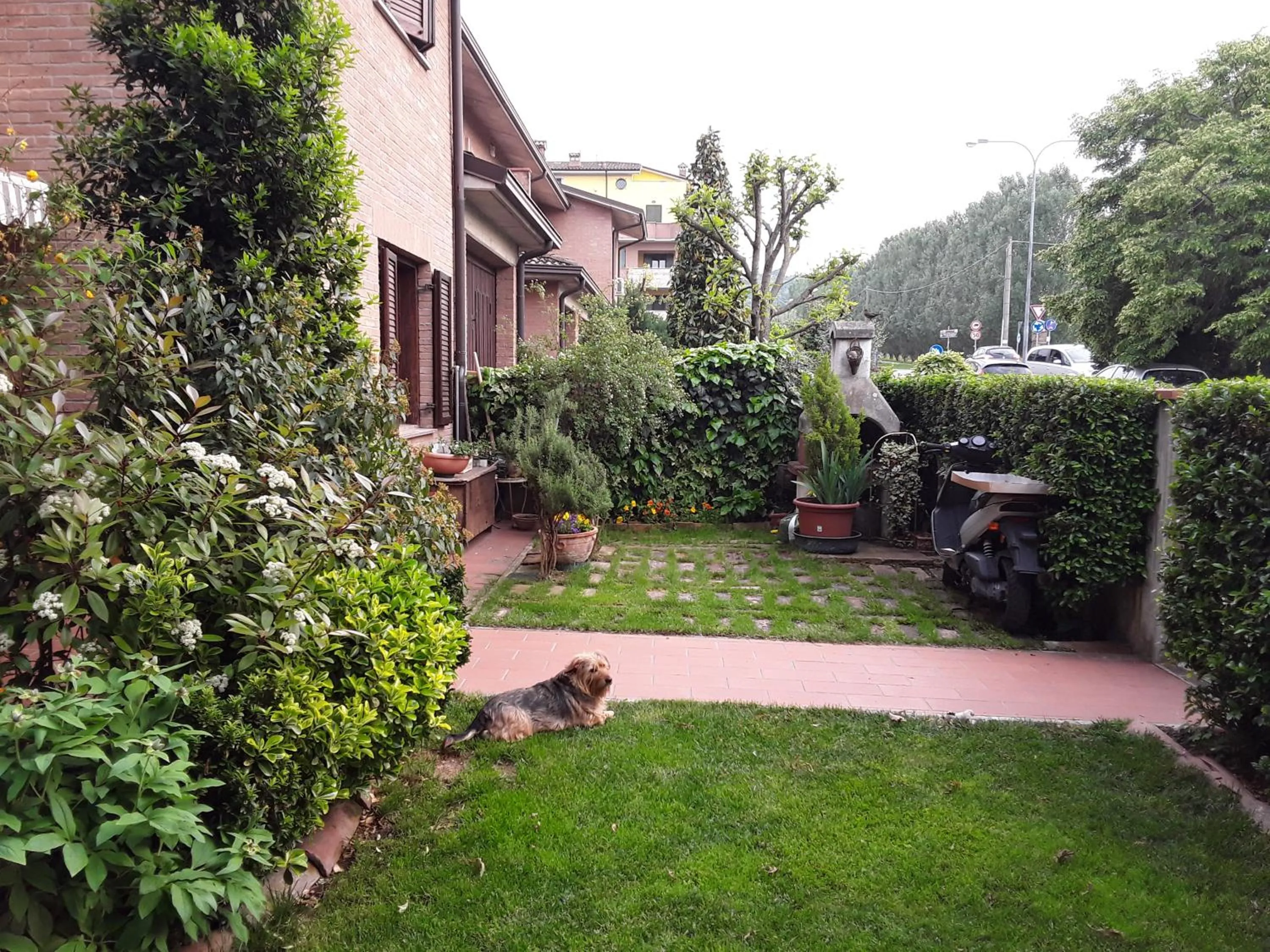 Garden in B&B LA ROSA GIALLA