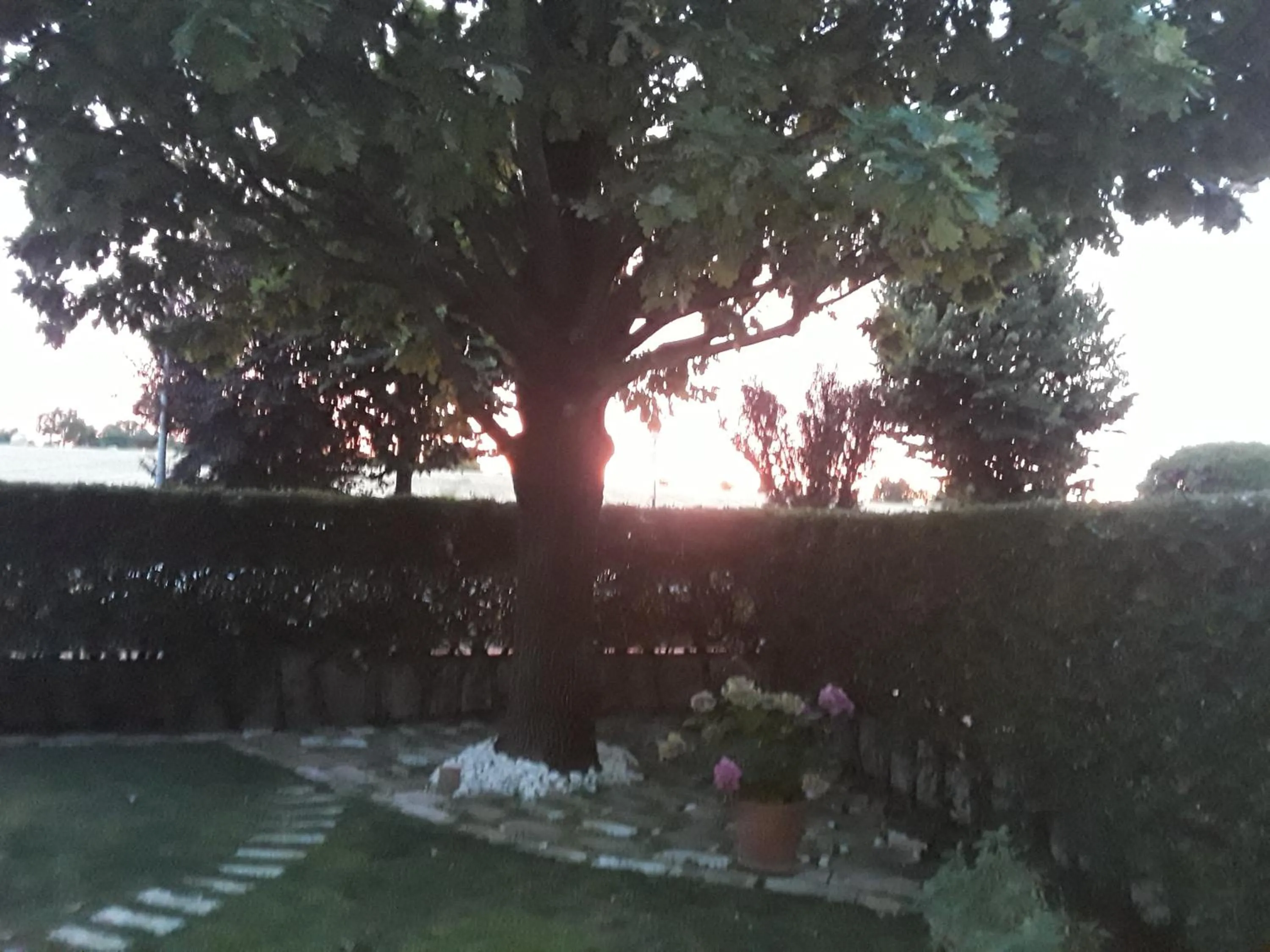 Inner courtyard view in B&B LA ROSA GIALLA