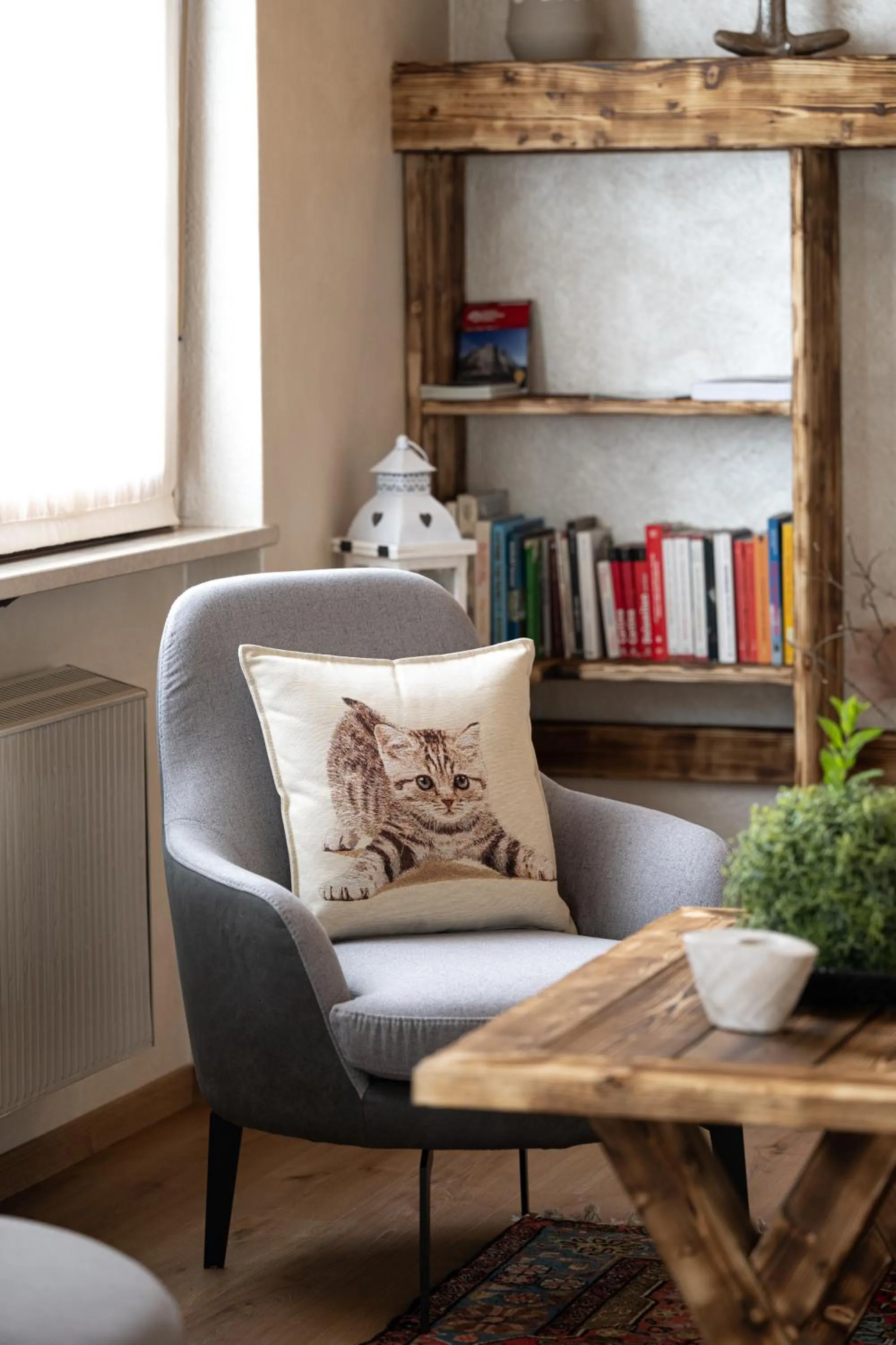 Library in Piccolo Orso Bruno