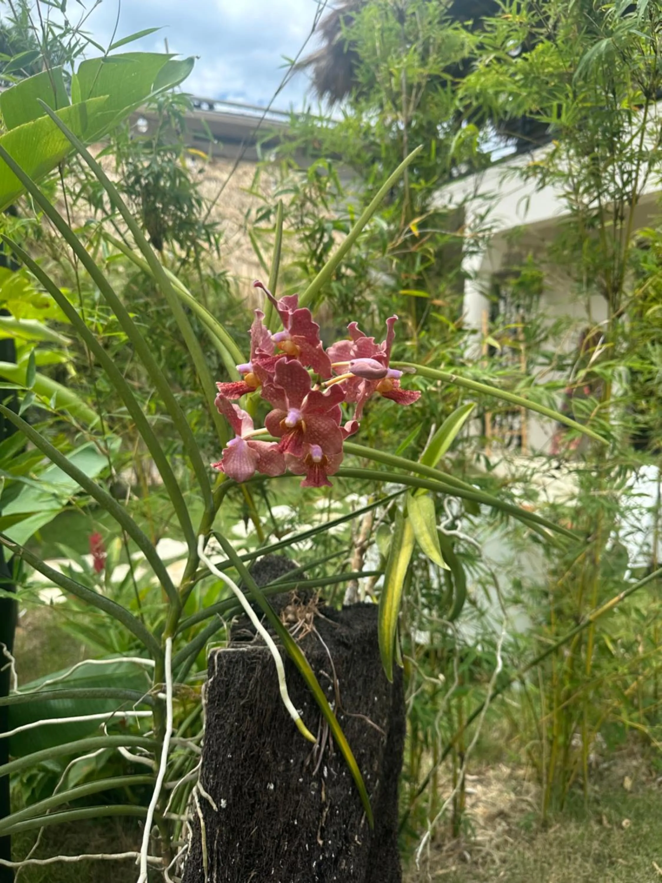 Natural landscape in El Rincon de Abi