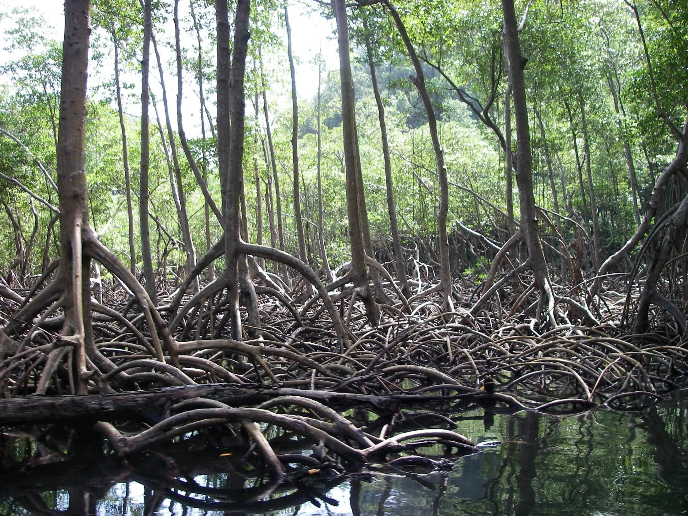 Area and facilities in El Rincon de Abi