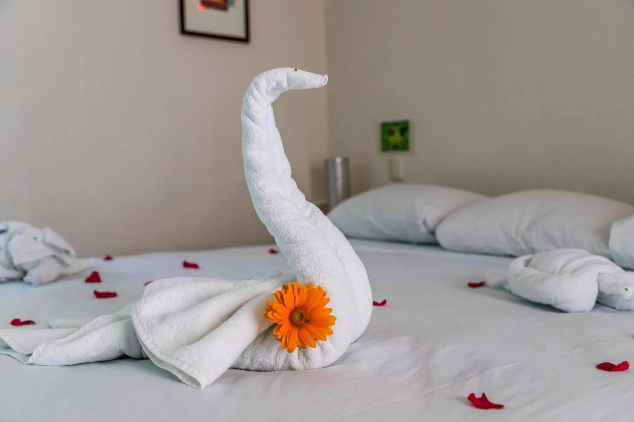 Bed in Moonshine Hotel