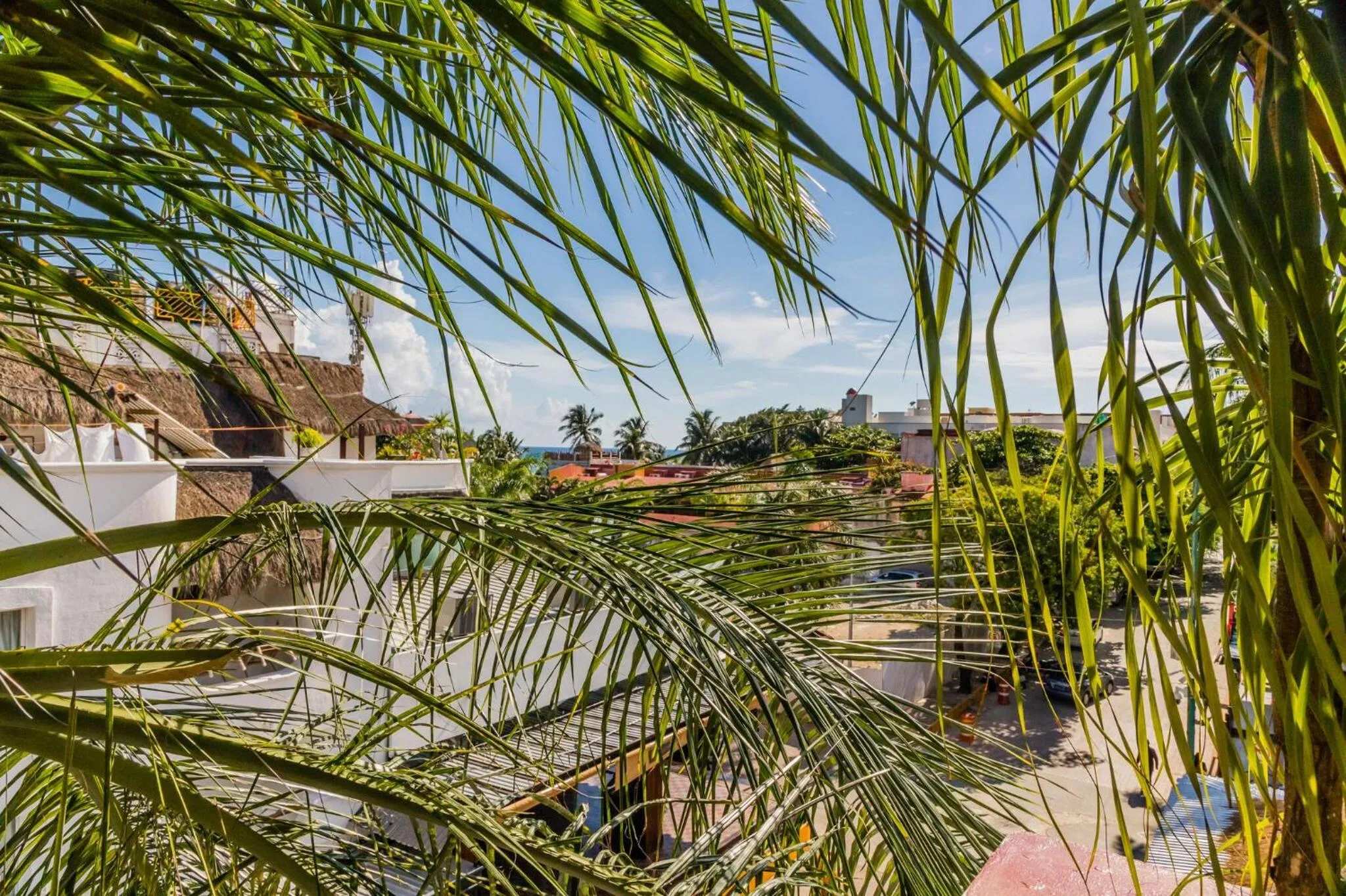 Natural landscape in Moonshine Hotel