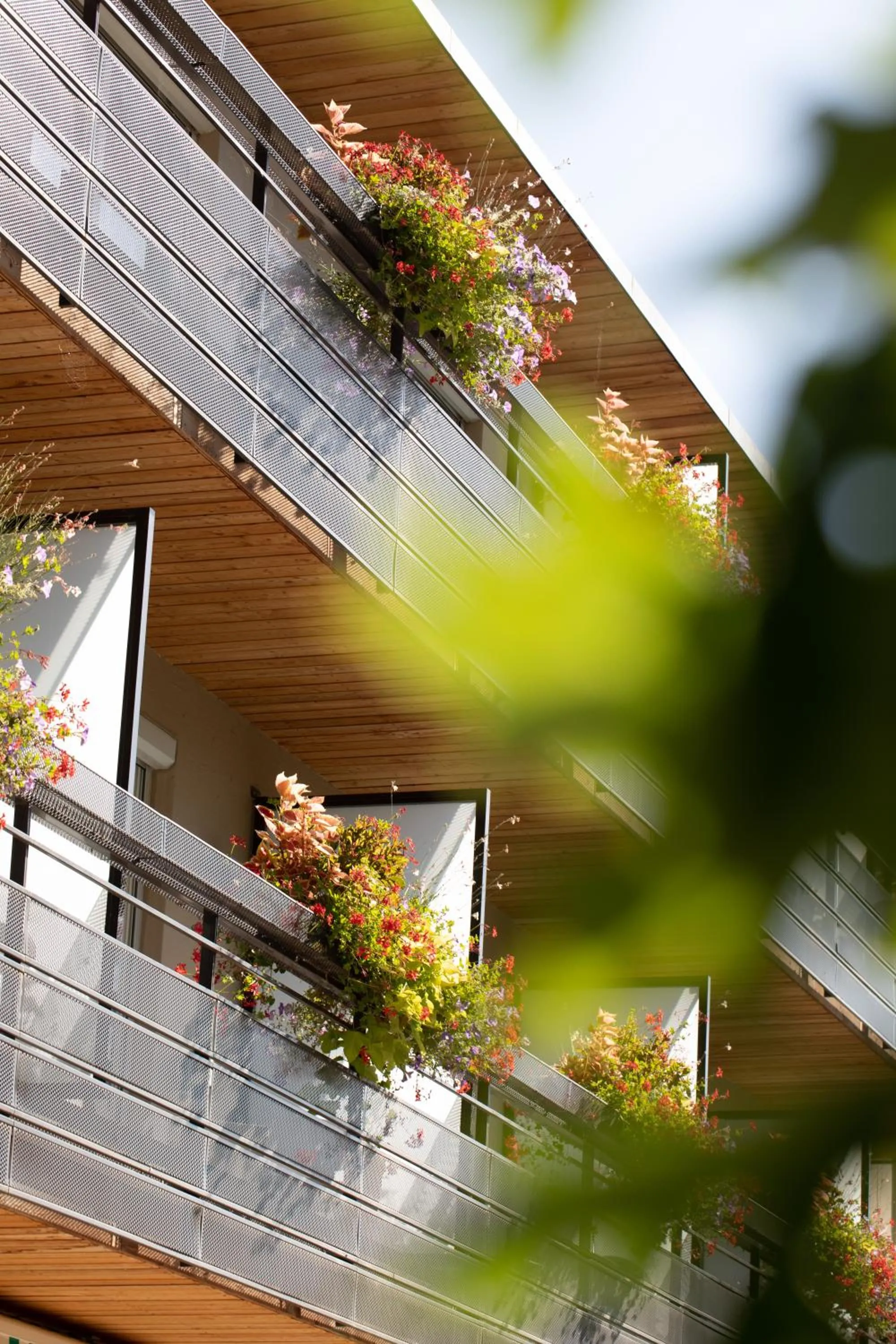 Balcony/Terrace in Hôtel Restaurant Logis Auberge Sundgovienne