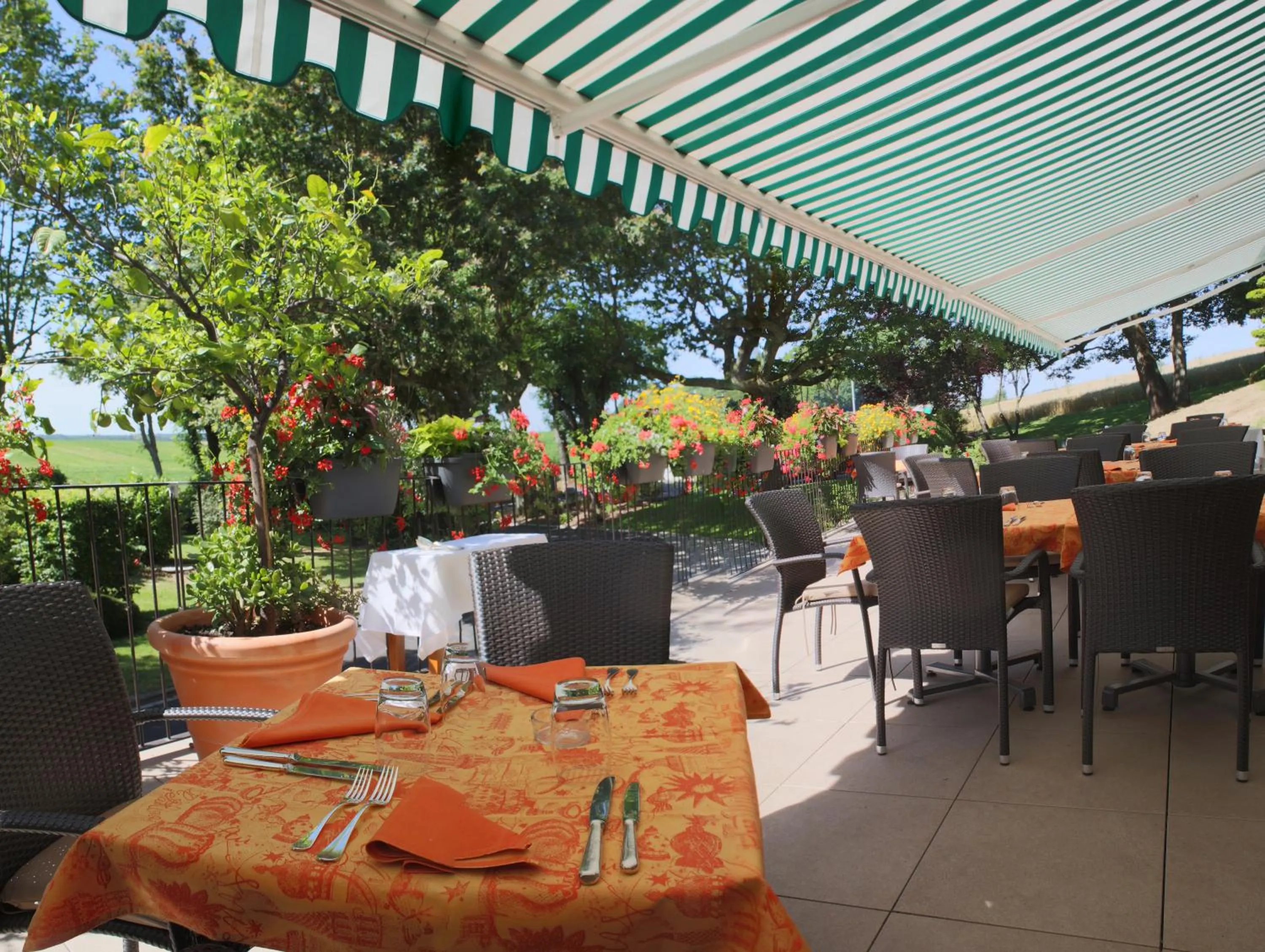 Patio in Hôtel Restaurant Logis Auberge Sundgovienne