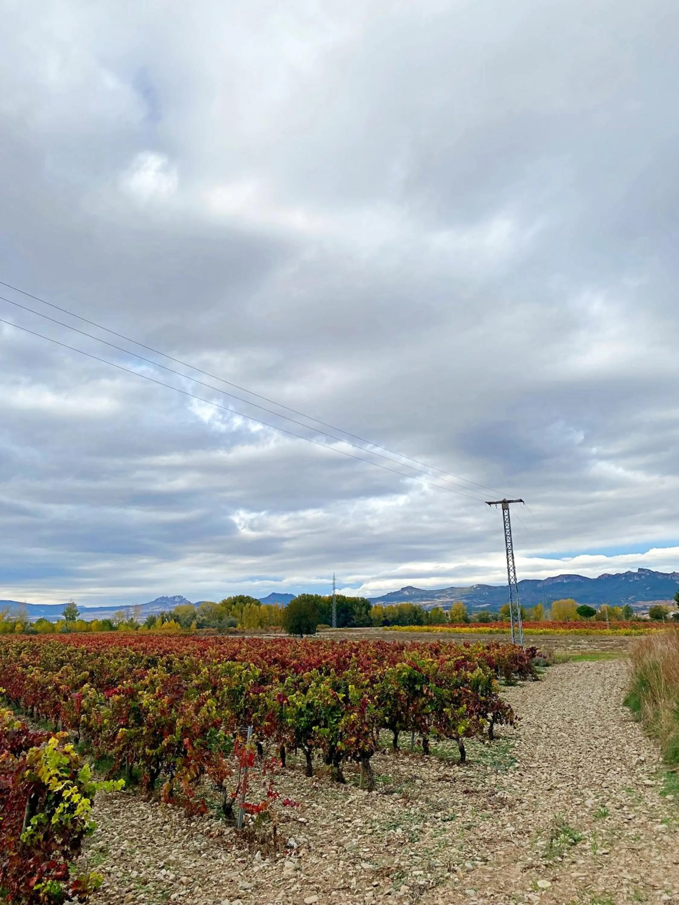 Day in Hotel Entrerailes