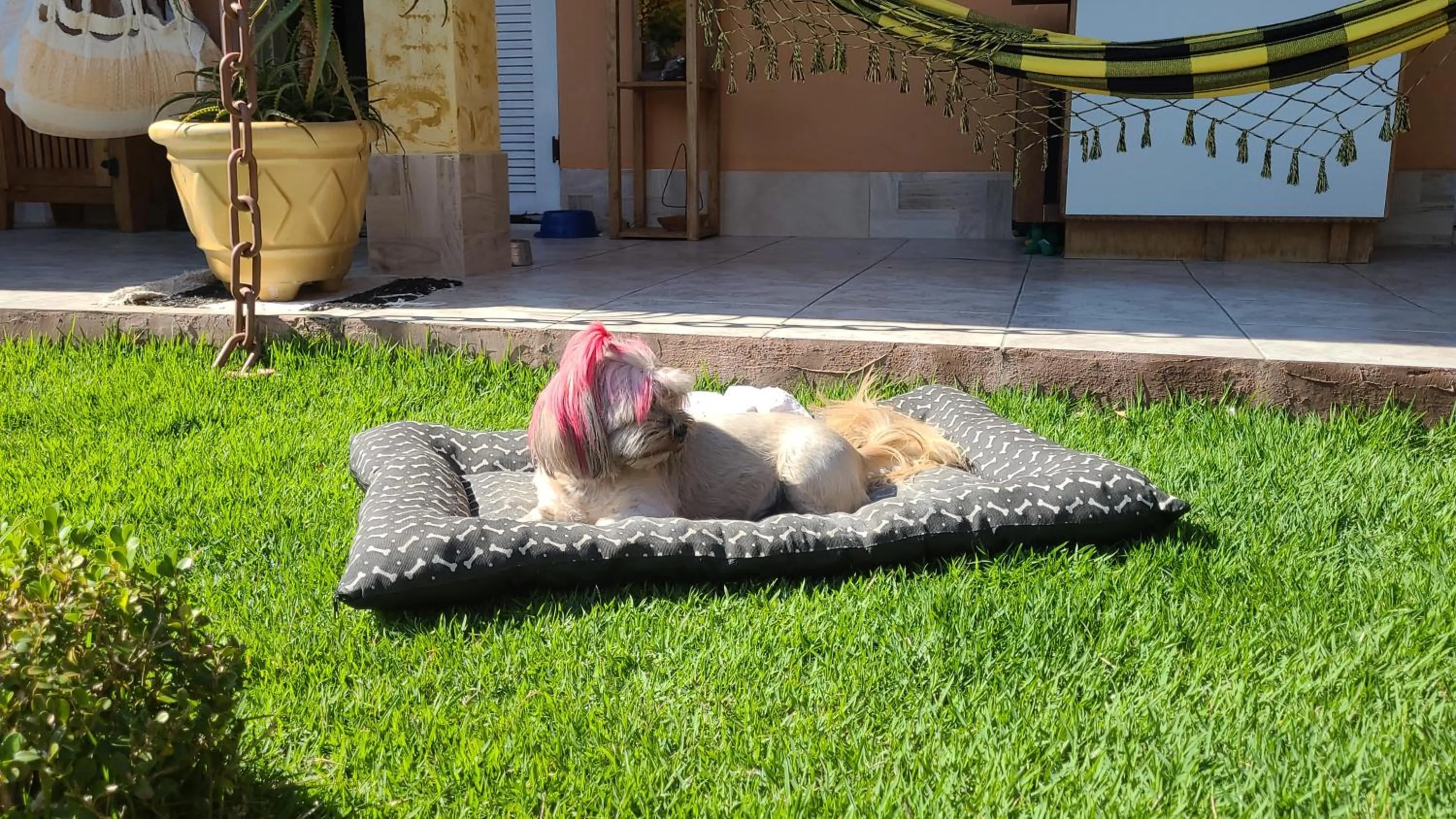 Pousada e SPA Shiva São Sebastião 200mts da praia