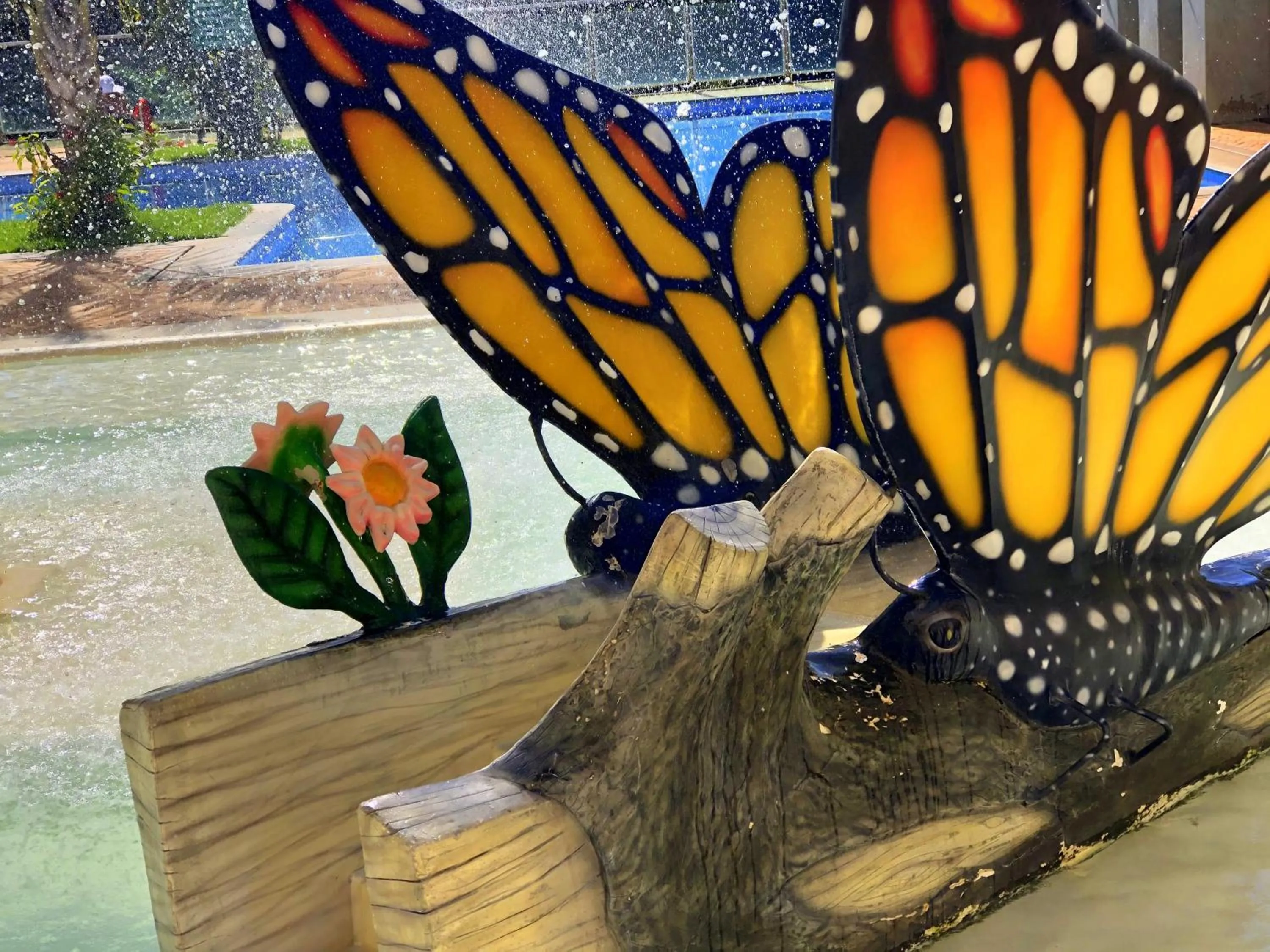 Swimming pool in Águas do Paranoá