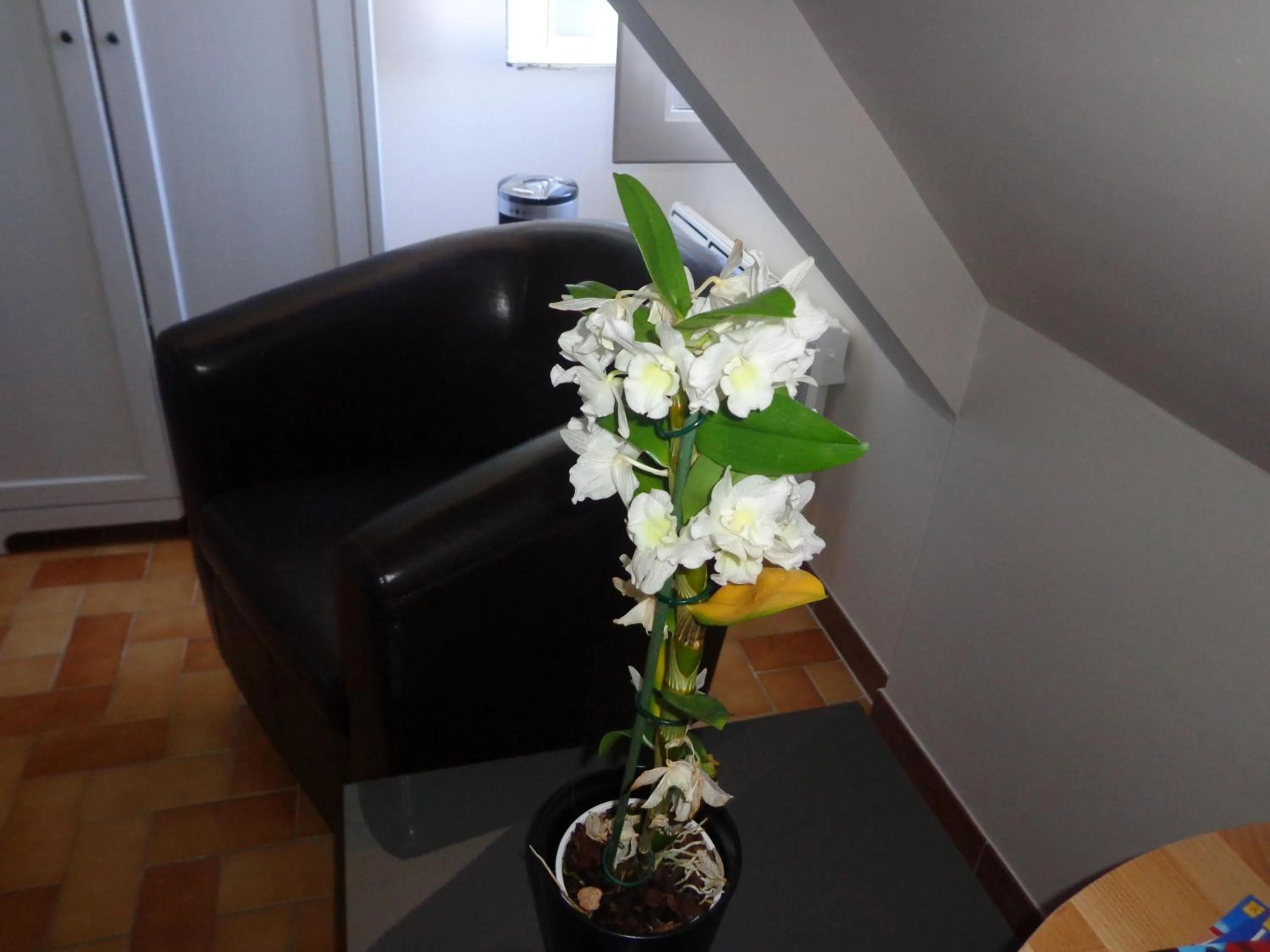 Seating area in La Grille Dorée