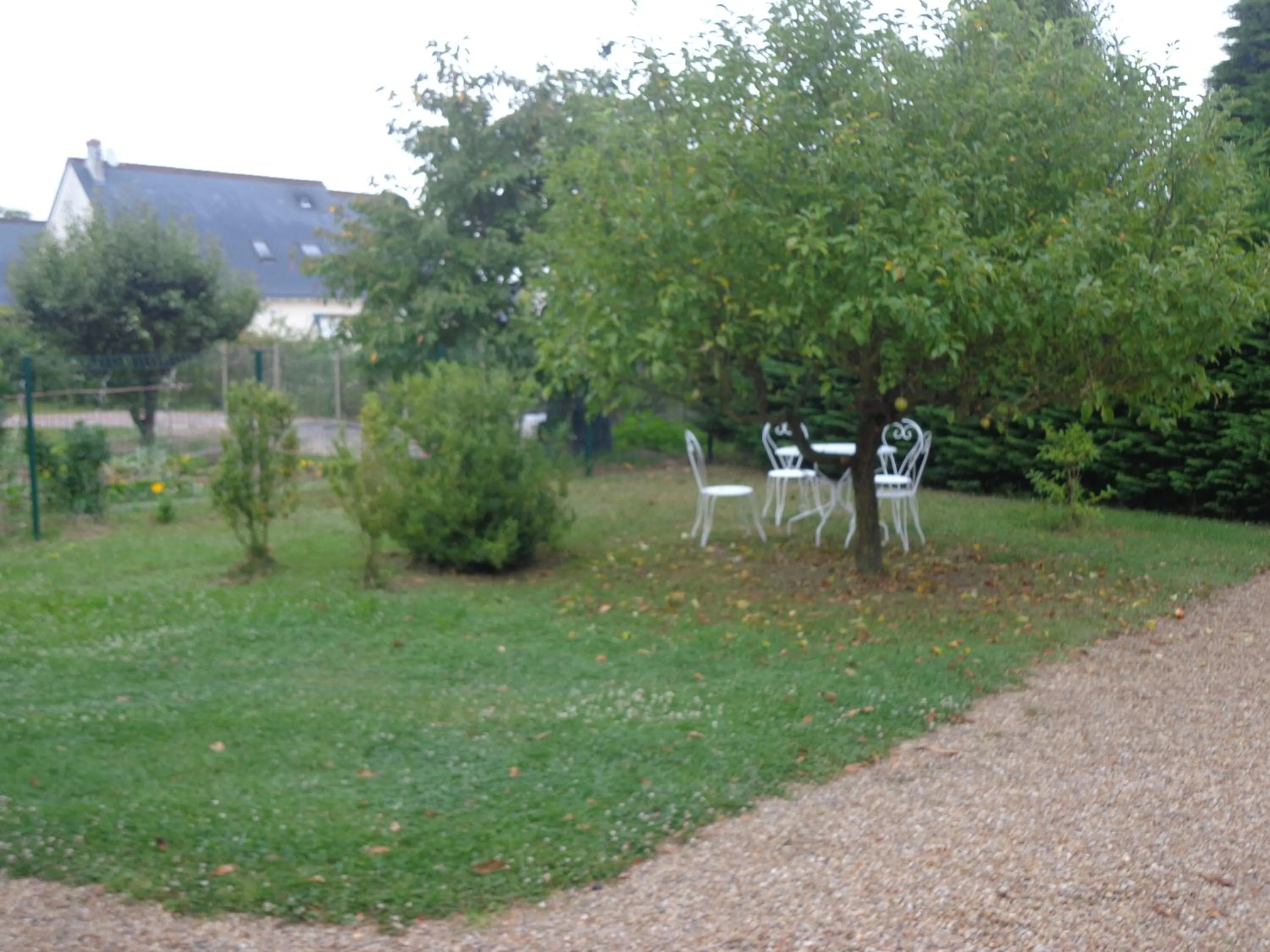 Patio in La Grille Dorée