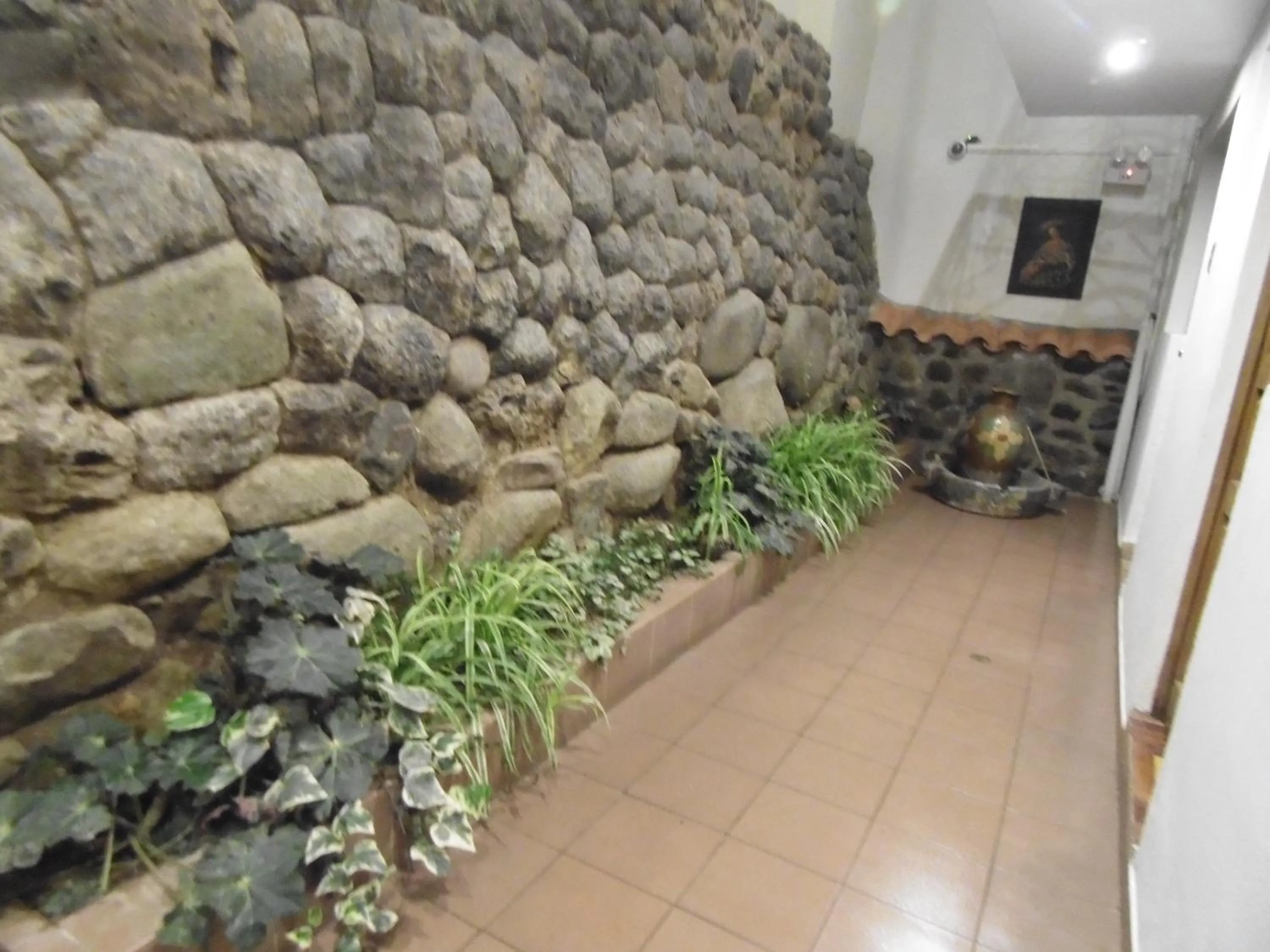 Area and facilities in HOTEL AMTALLPA San Blas Inn