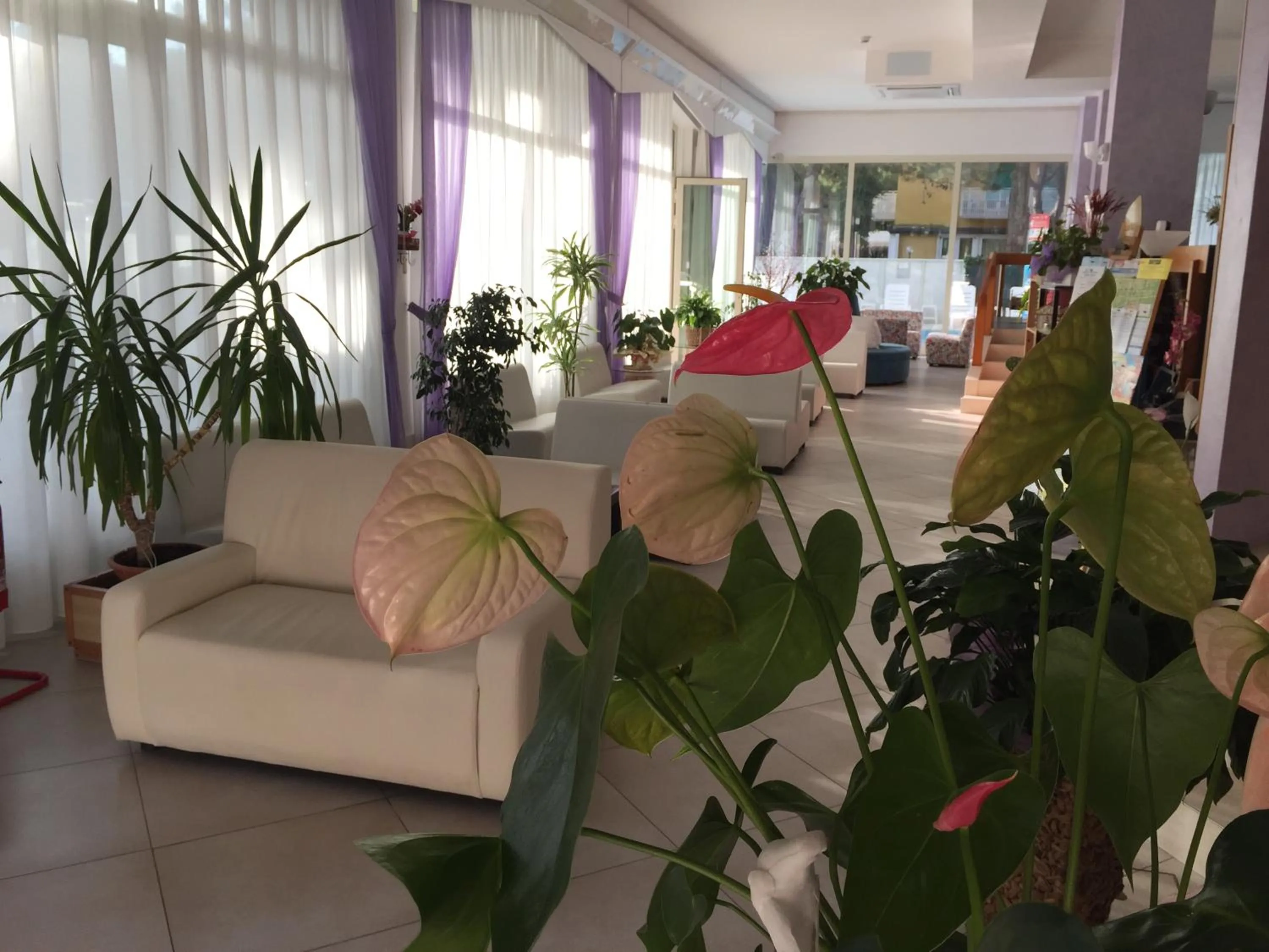 Lobby or reception in Hotel Sahara