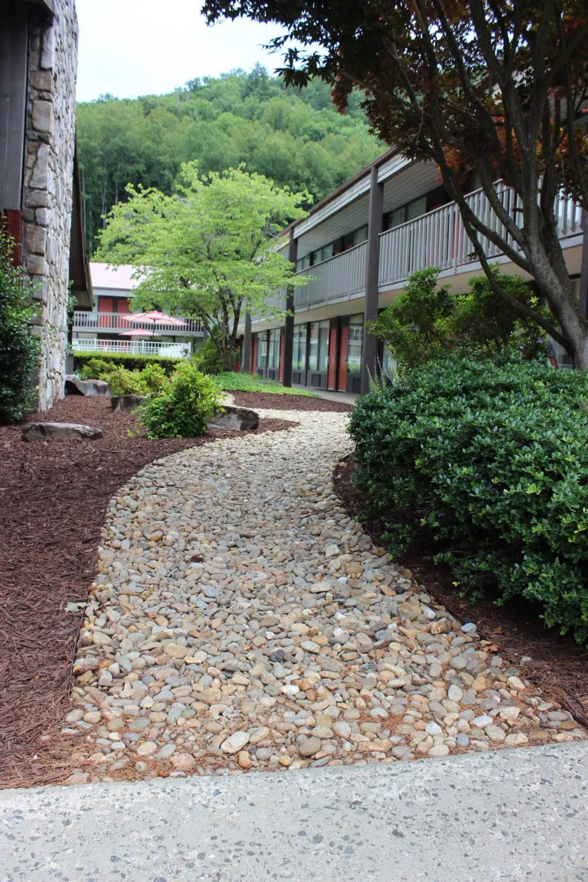 Natural landscape in Great Smokies Inn - Cherokee