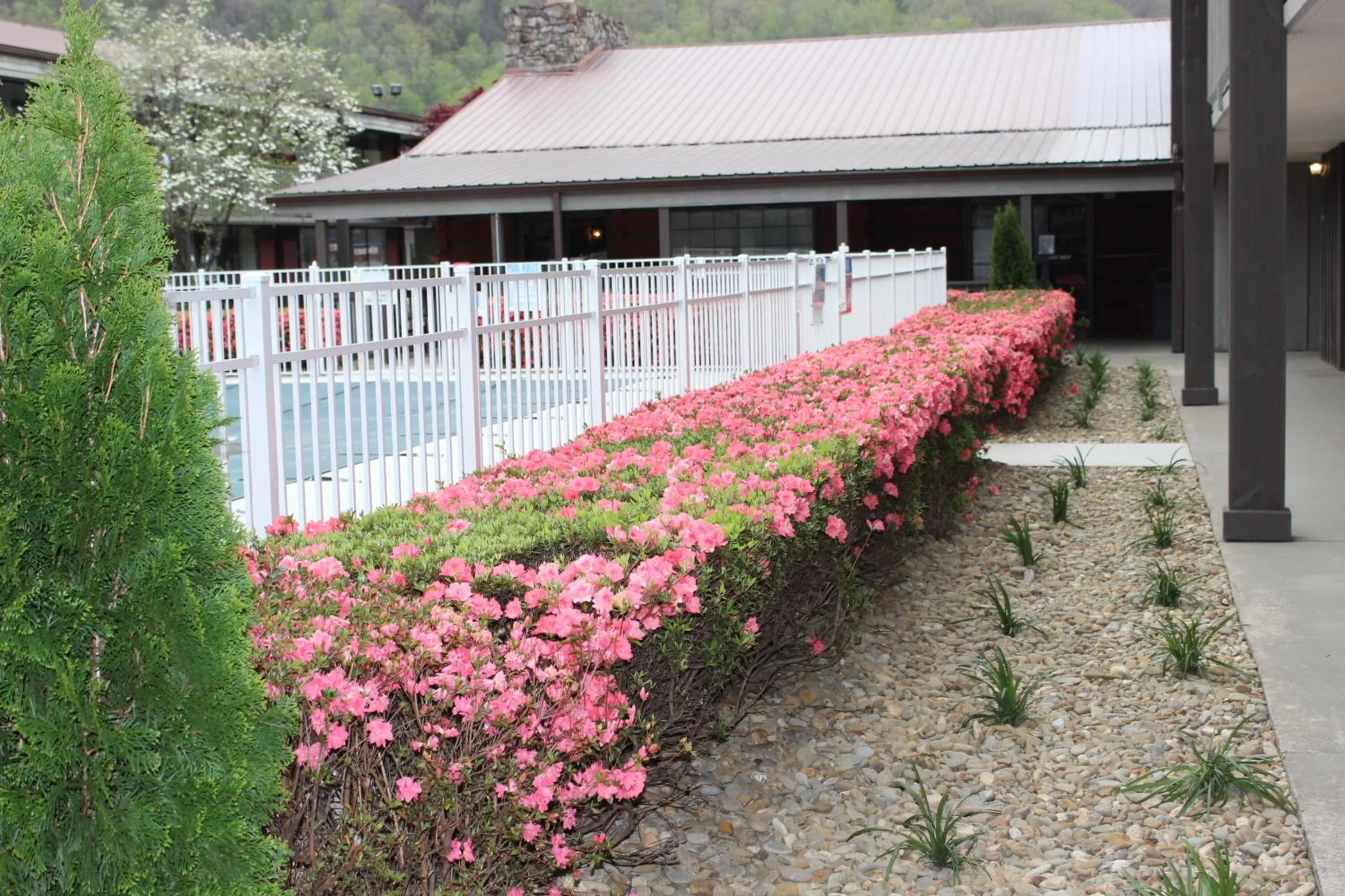 Spring in Great Smokies Inn - Cherokee