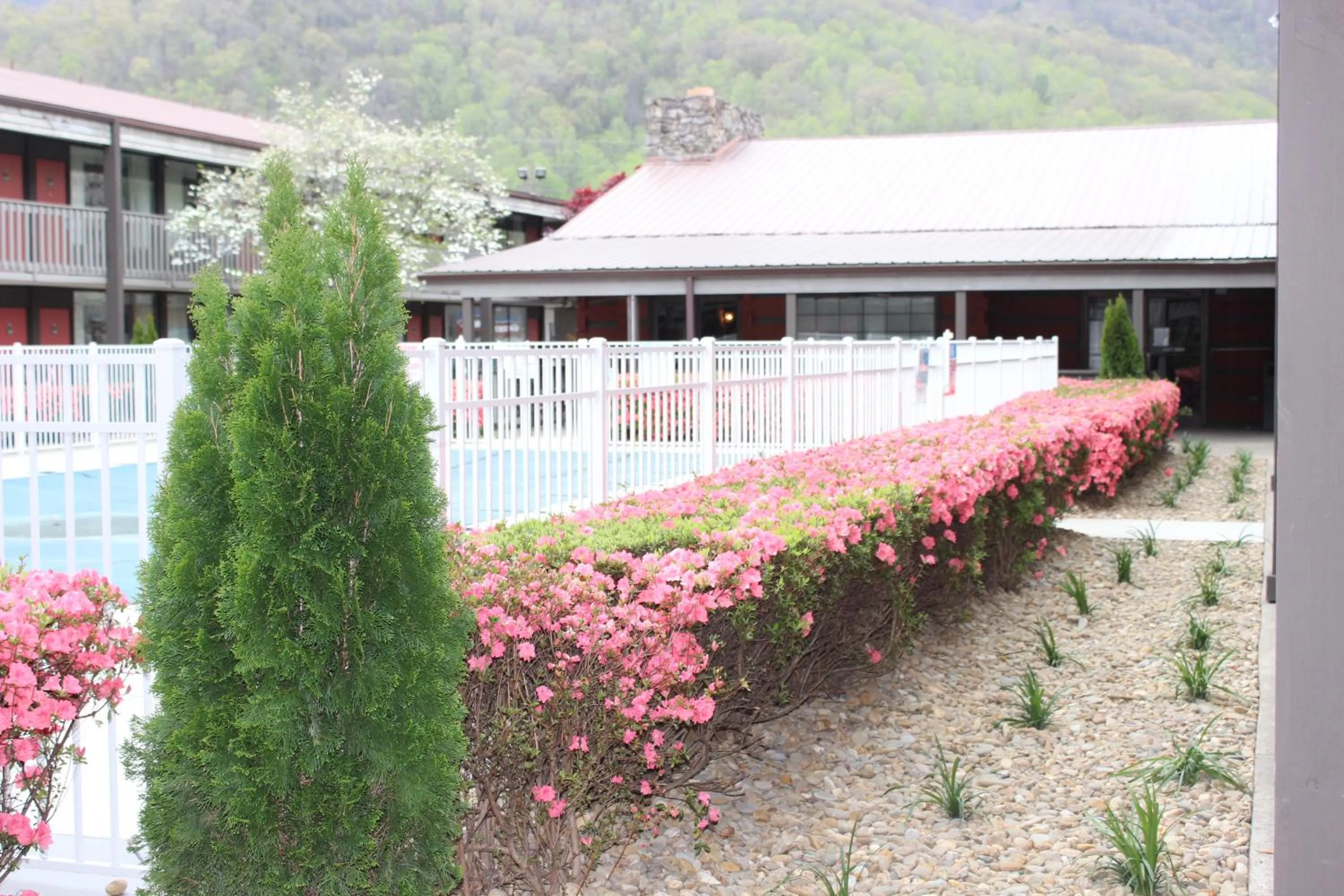 Swimming pool in Great Smokies Inn - Cherokee