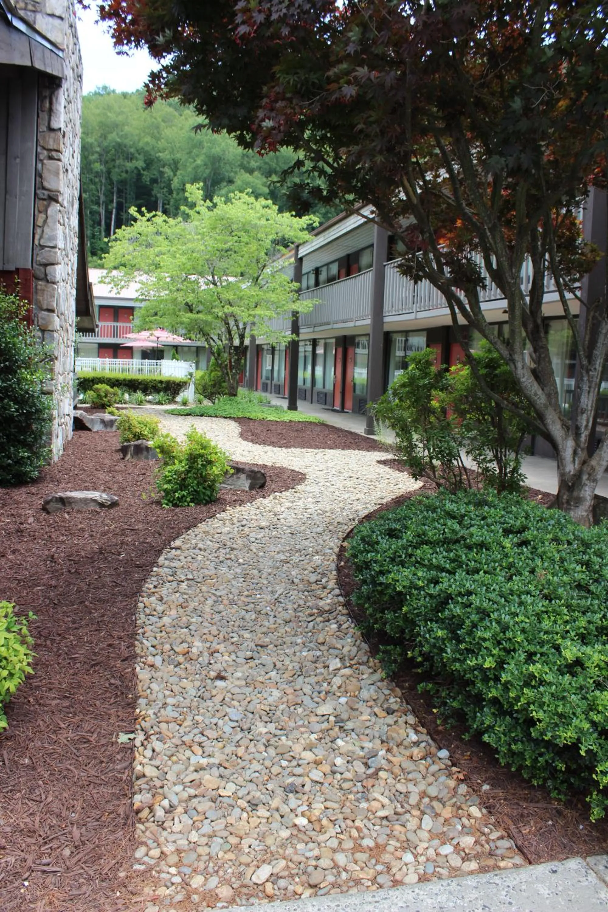 Natural landscape in Great Smokies Inn - Cherokee