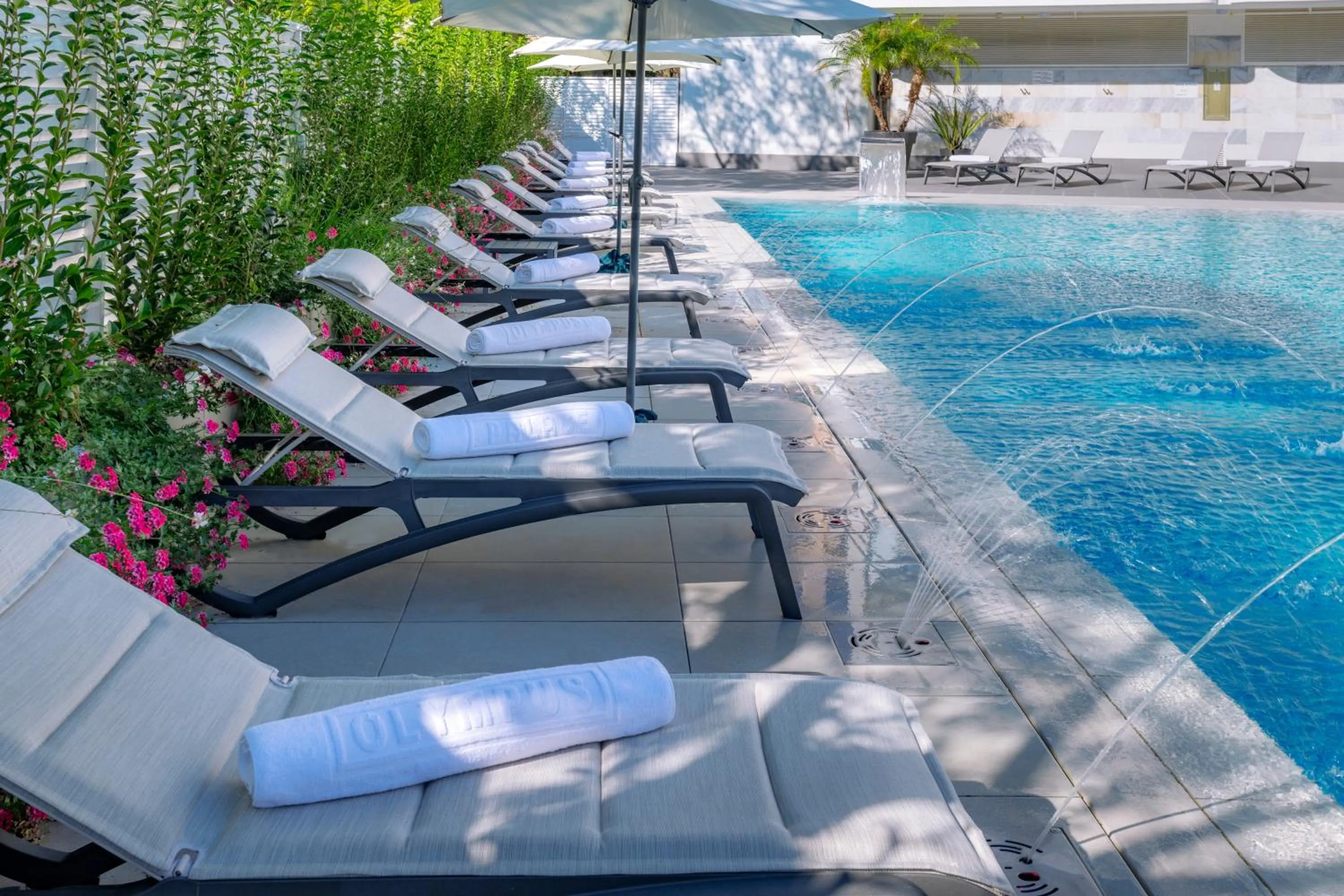 Swimming pool in Hotel Olympus Palace