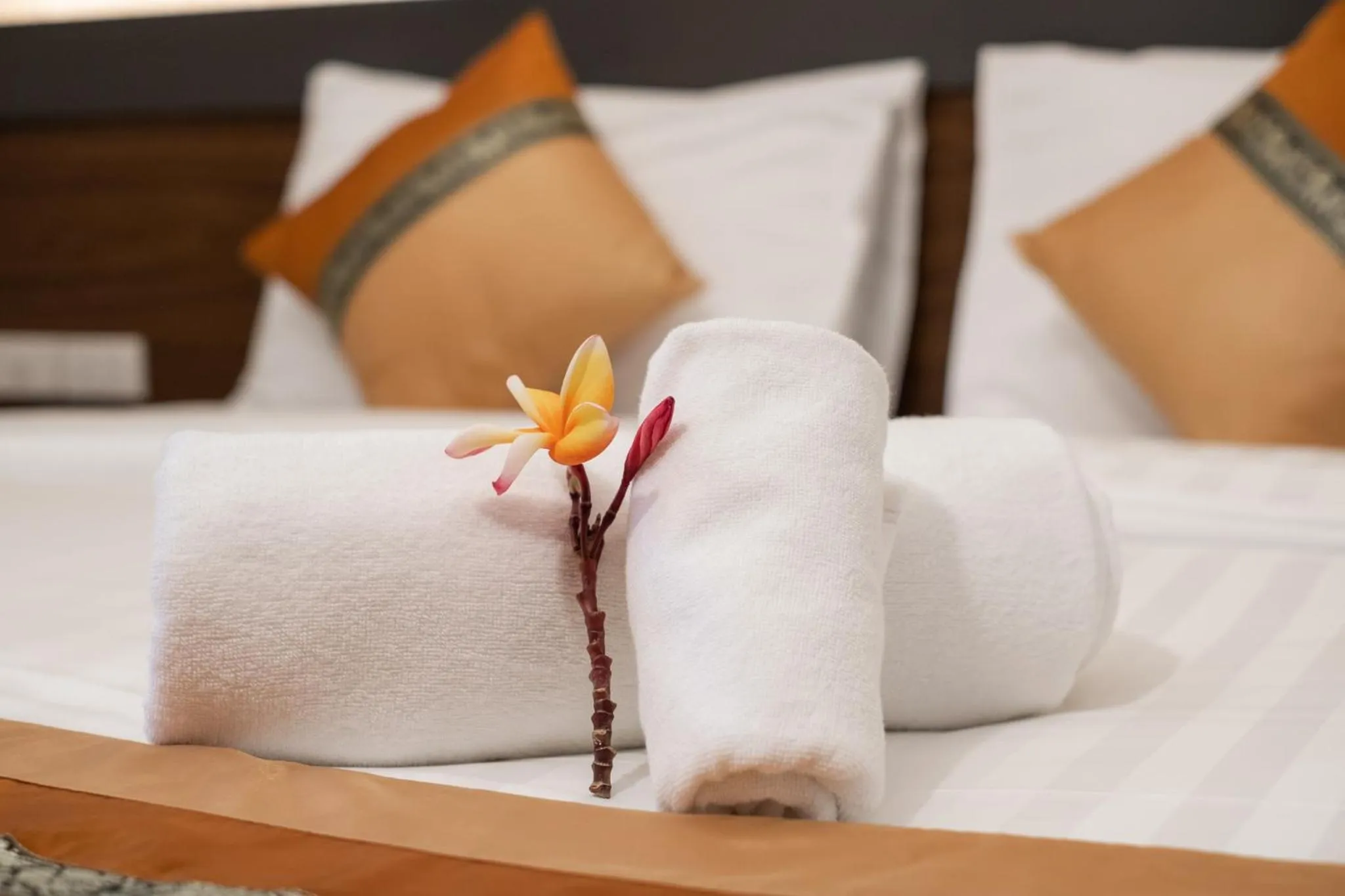 Photo of the whole room, Bed in Lima Lanna Hotel