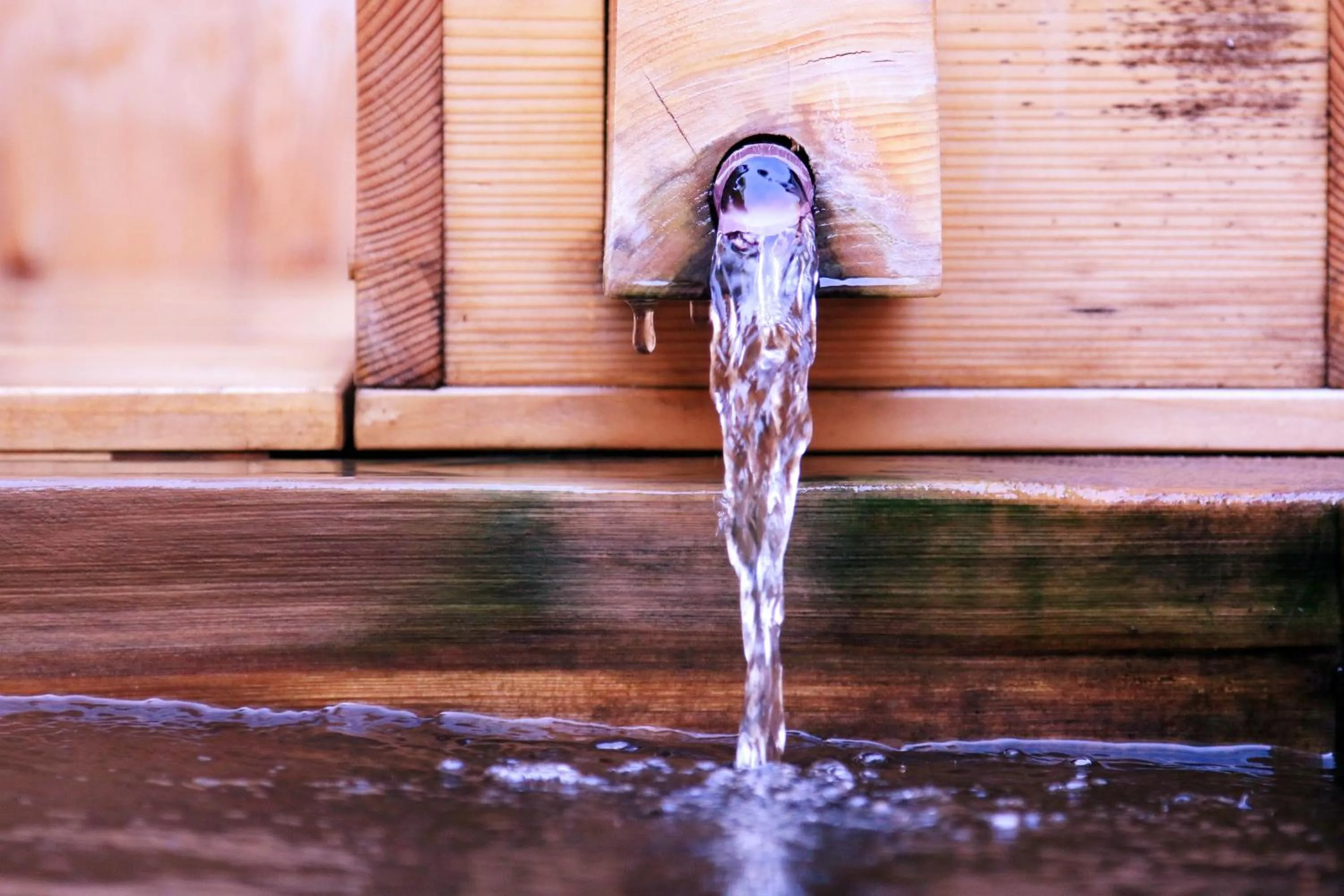 Hot Spring Bath in Yanagiya