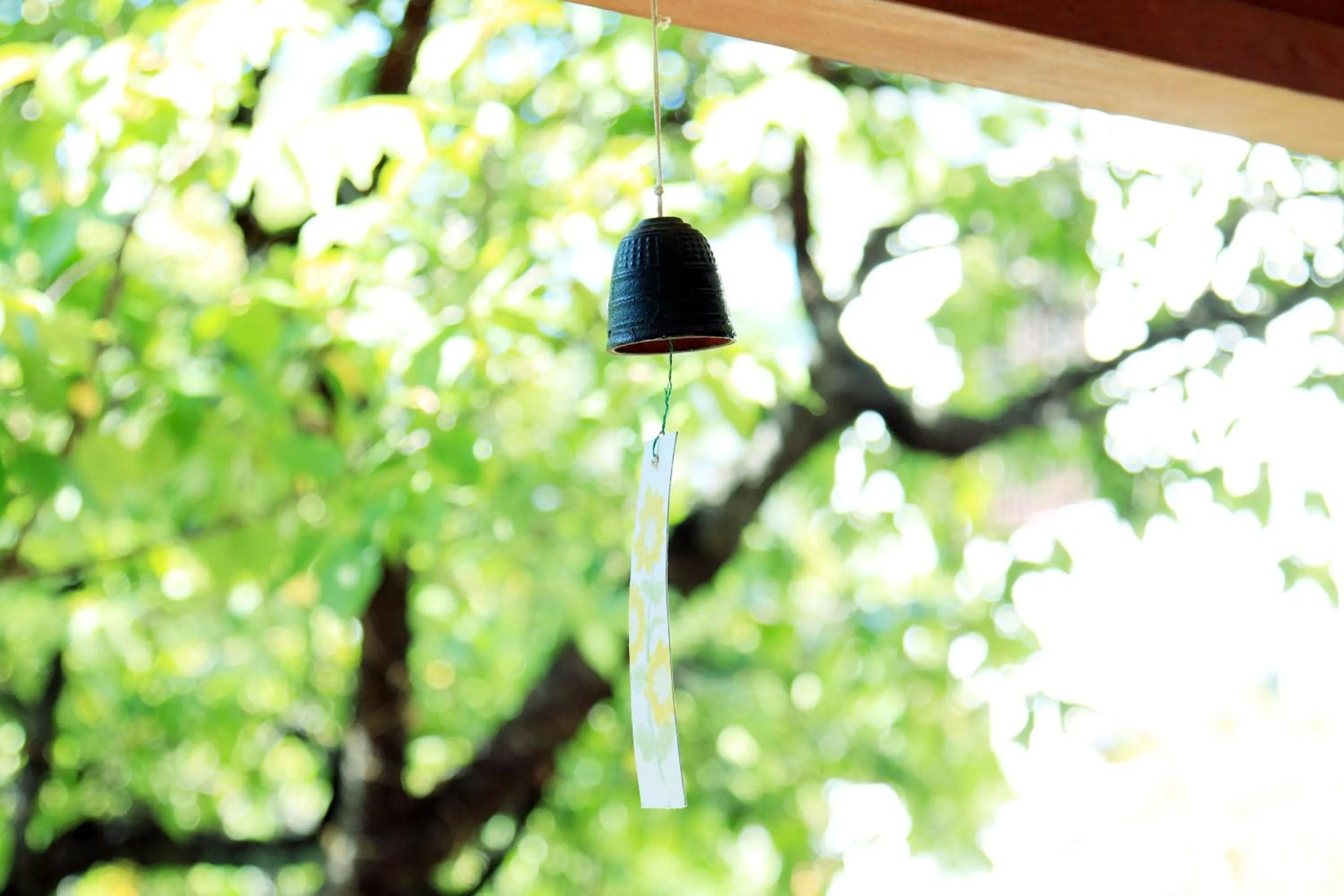 Natural landscape in Yanagiya