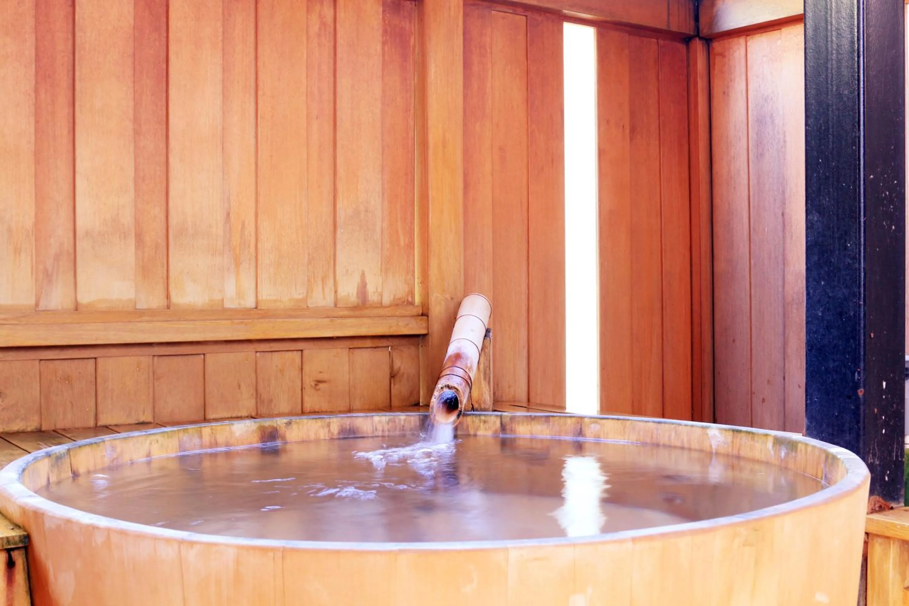 Hot Spring Bath in Yanagiya