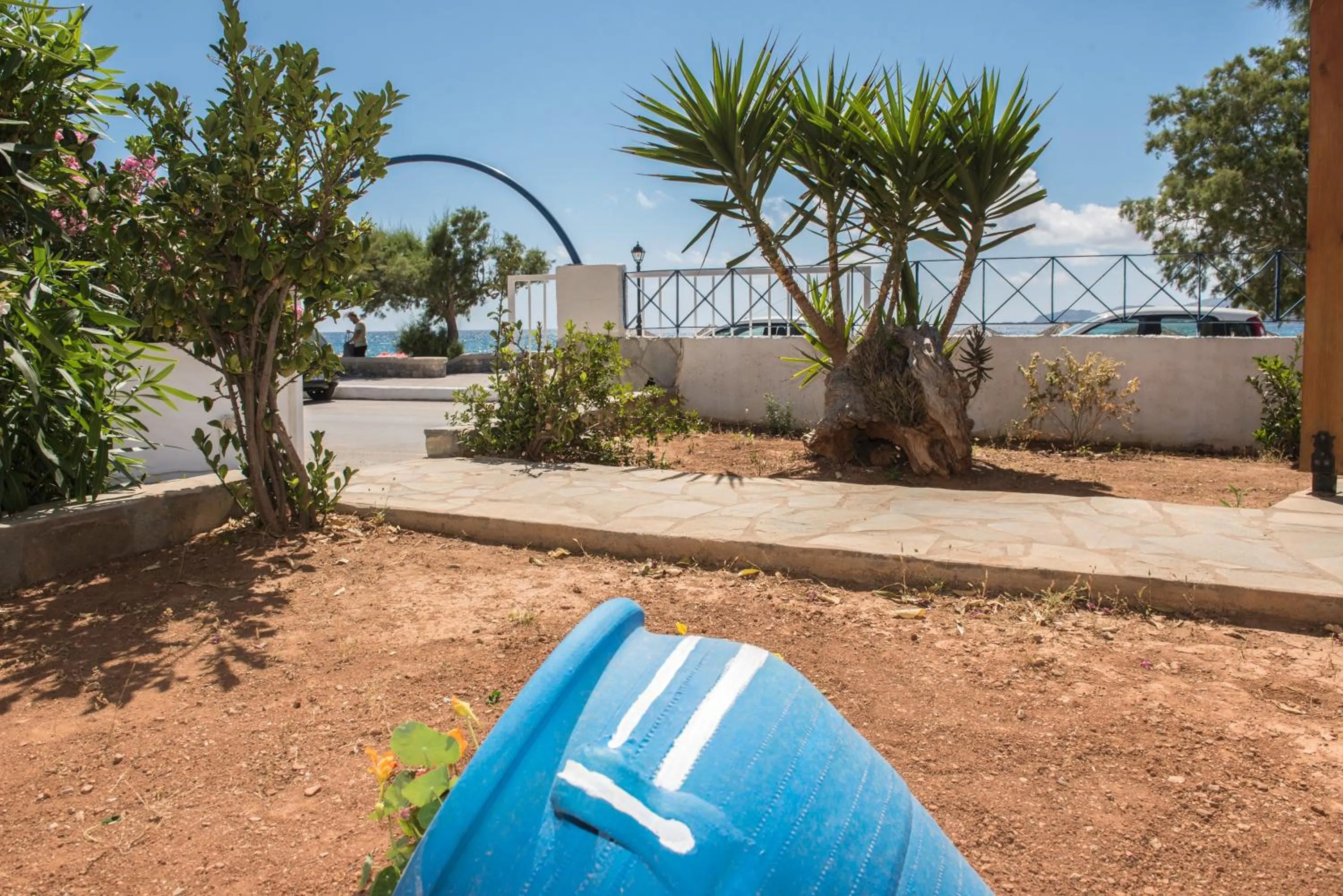 Garden in Sifis Studios