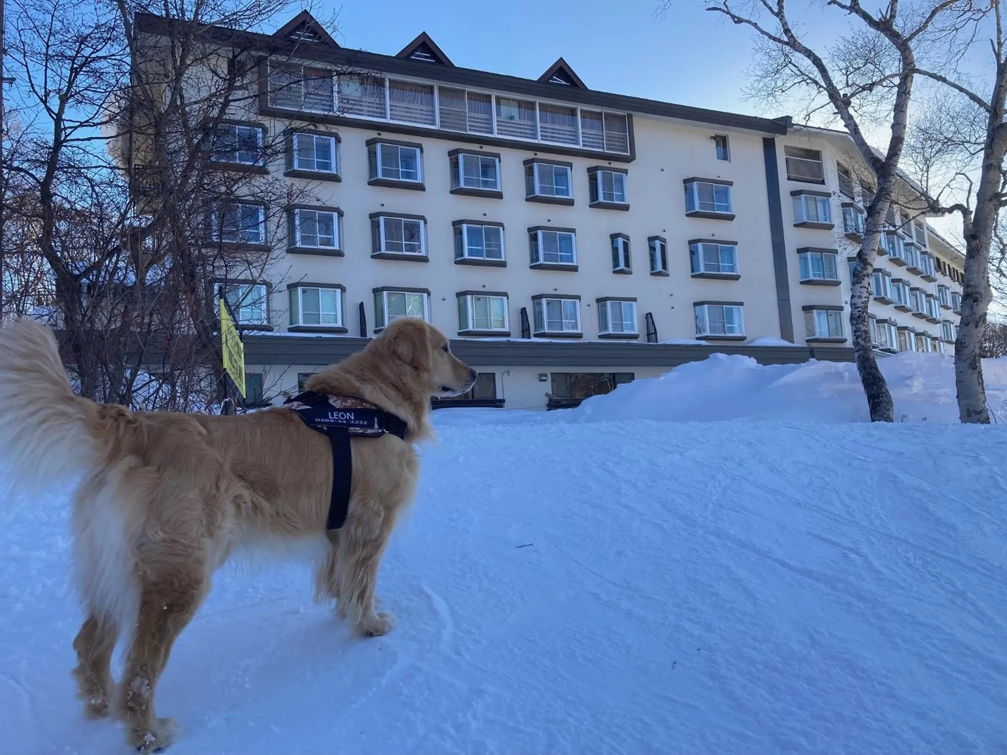 Winter in Shiga Lake Hotel