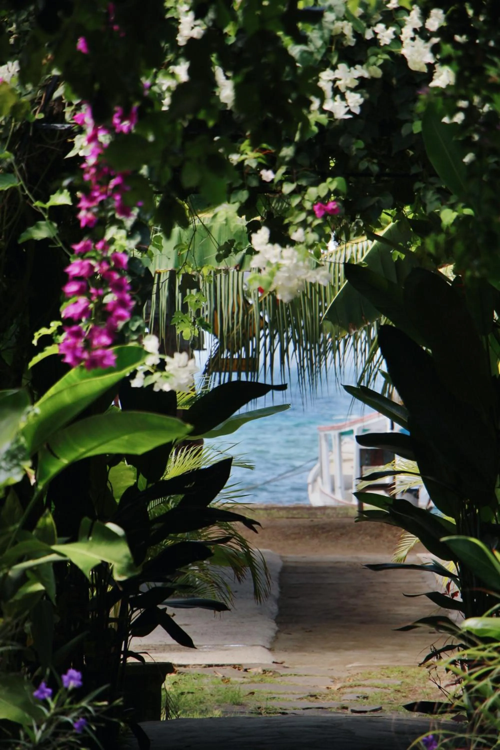 Tipsea Turtle Gili Air